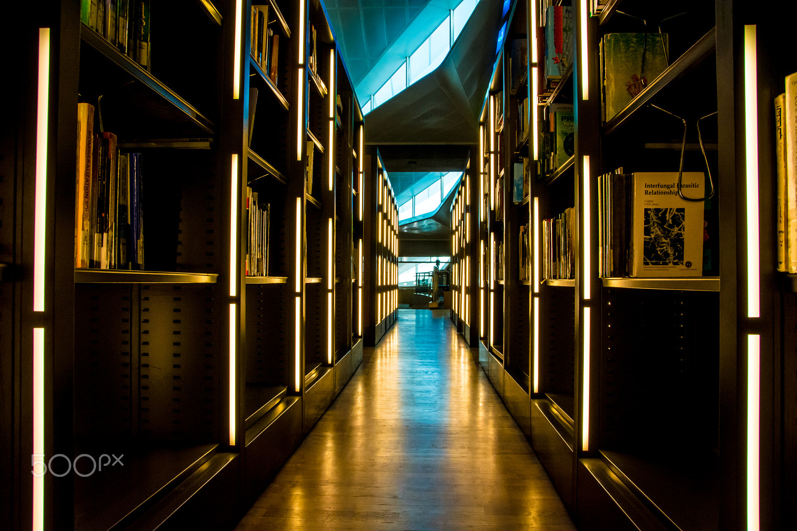 Sigma 18-250mm F3.5-6.3 DC OS HSM sample photo. The lights of knowledge photography
