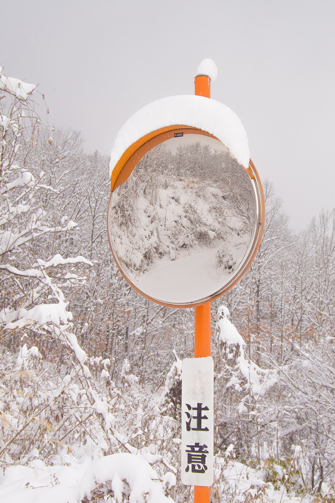 Pentax K-S2 sample photo. In the mirror, after all the snowy world photography