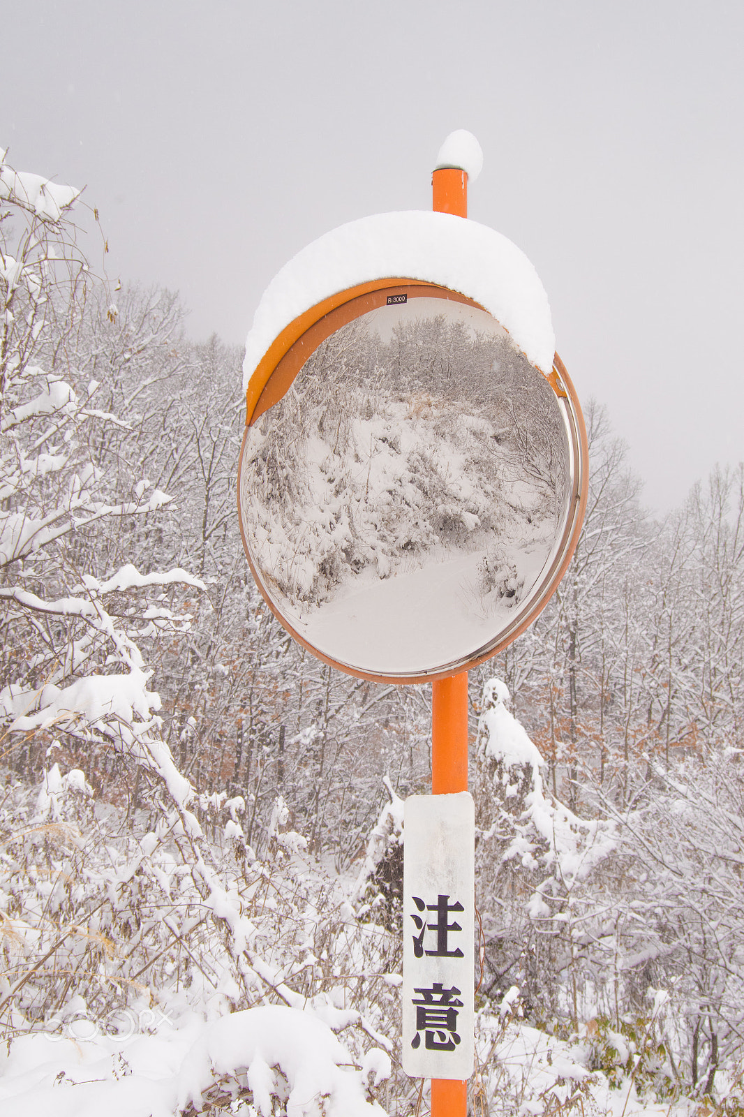 smc Pentax-DA L 50-200mm F4-5.6 ED WR sample photo. In the mirror, after all the snowy world photography