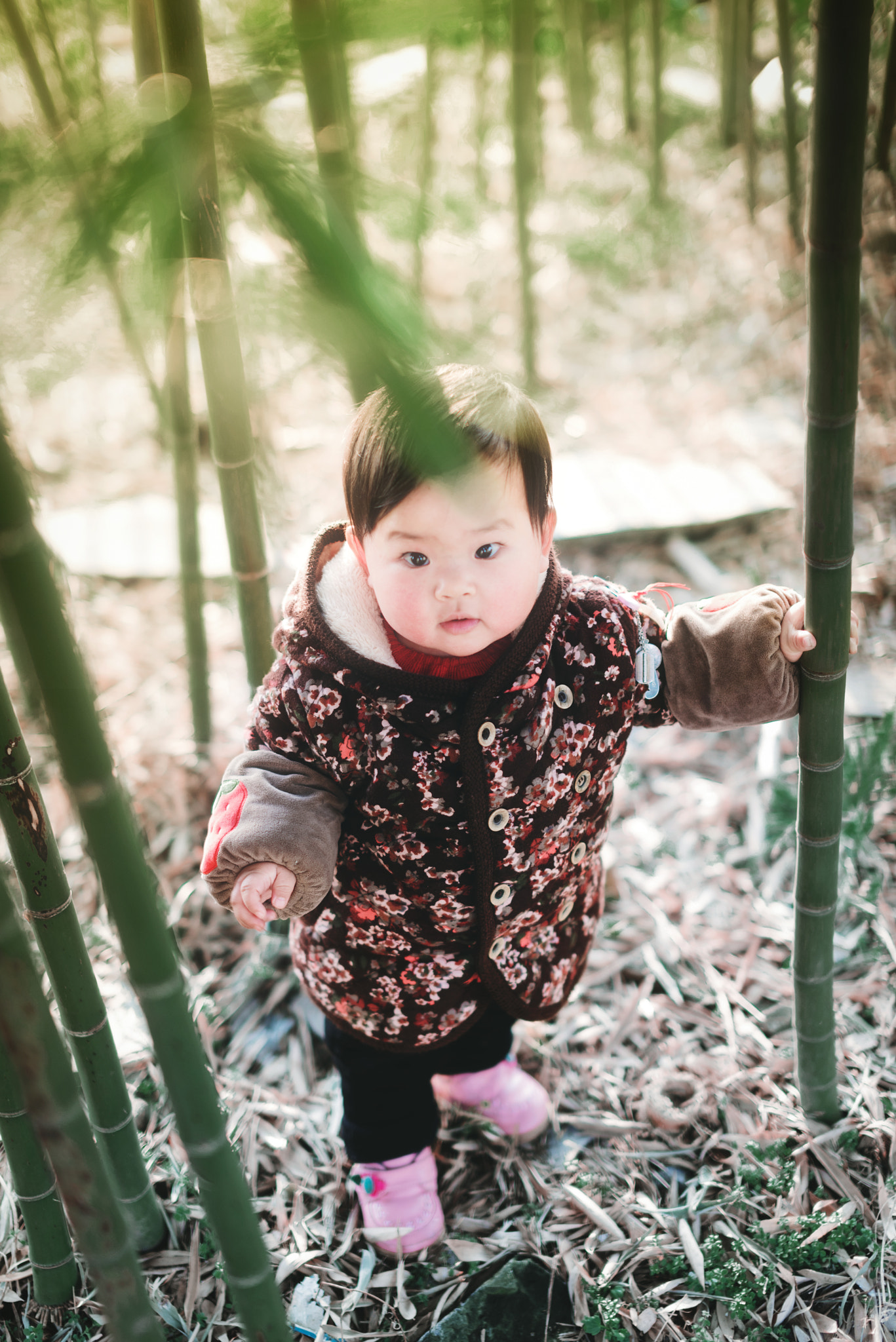 Nikon D750 + Sigma 50mm F1.4 EX DG HSM sample photo. 宝宝 photography