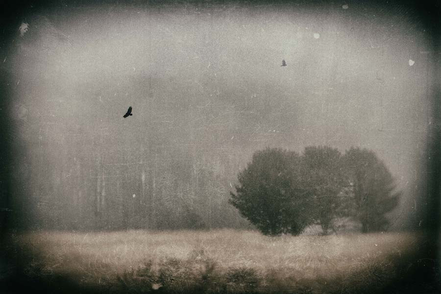 Canon EF 75-300mm f/4-5.6 USM sample photo. ...like a wet plate - #1 photography