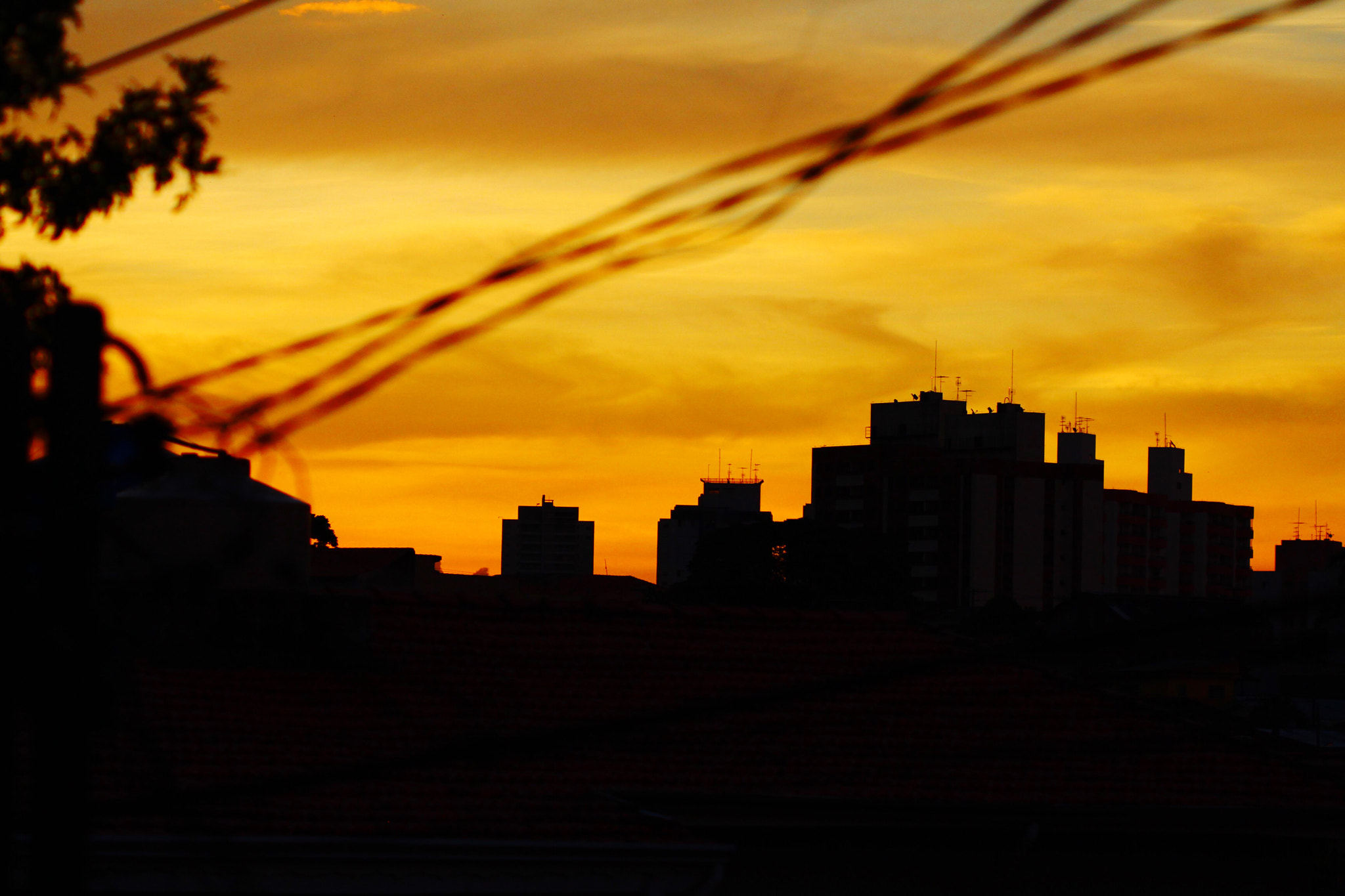 Canon EF 100mm F2.8 Macro USM sample photo. Beleza... photography