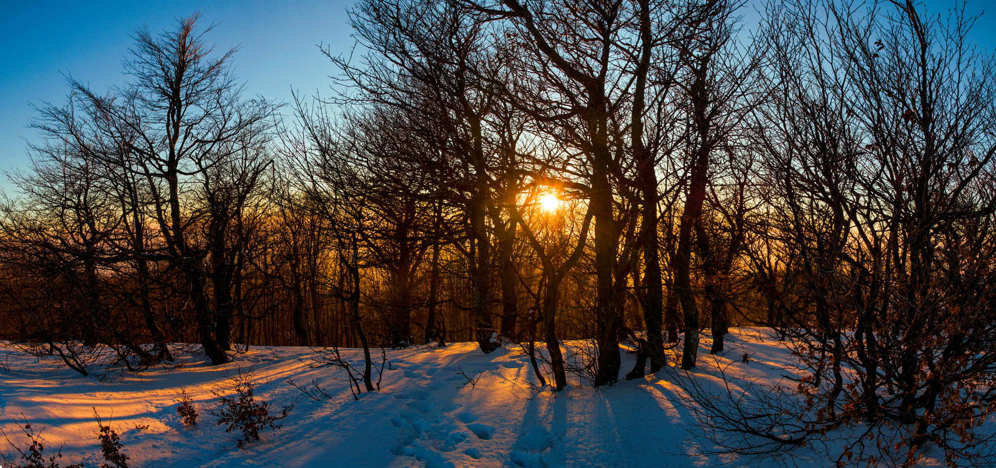 Pentax K-50 sample photo. Sunlight photography