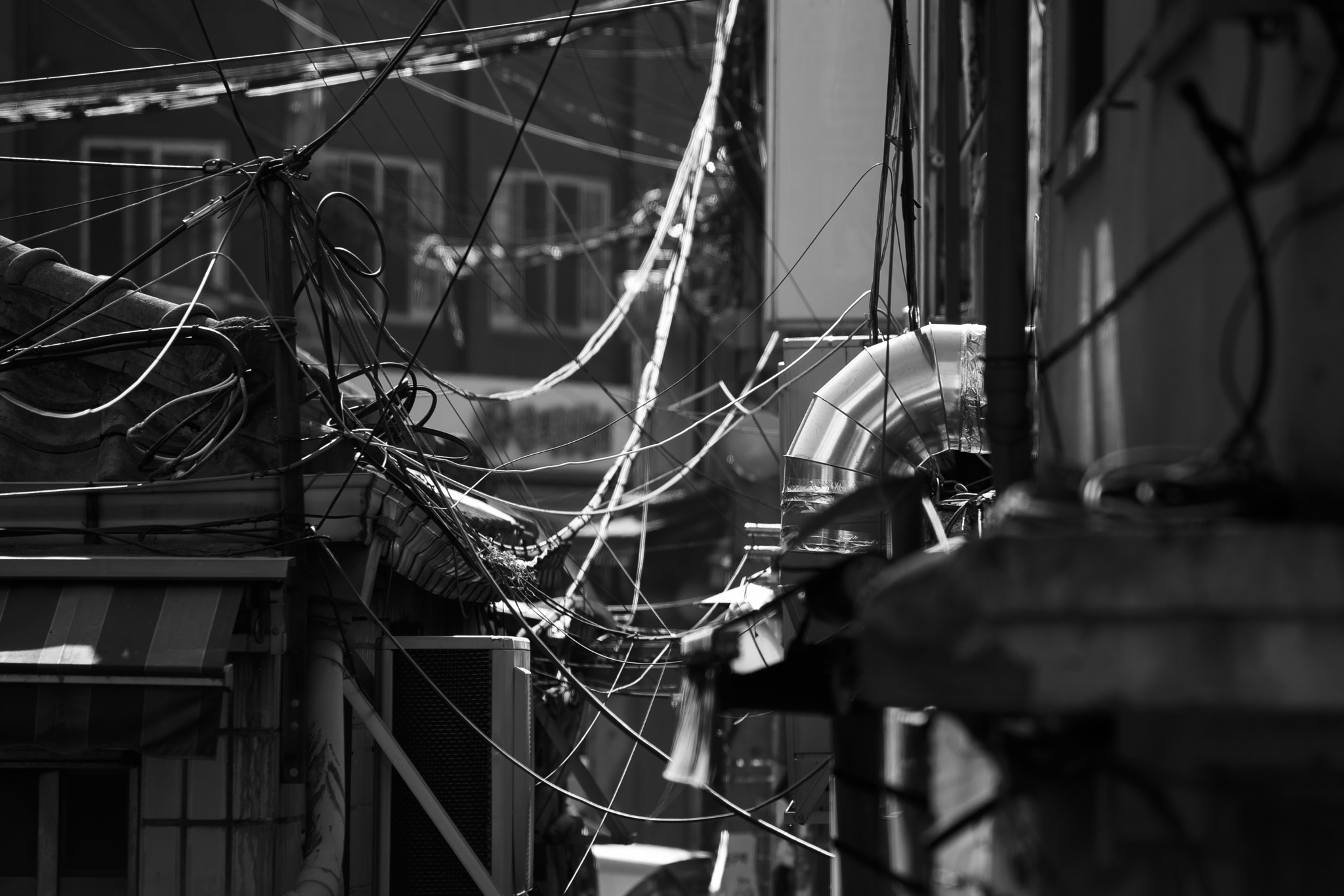 Sigma 70-300mm F4-5.6 APO DG Macro sample photo. Web photography