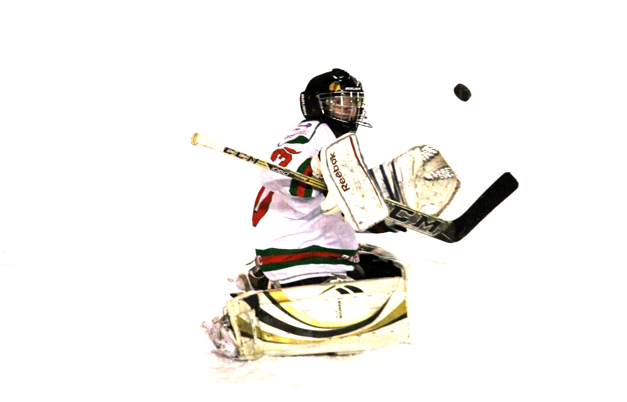 Canon EF-S 55-250mm F4-5.6 IS sample photo. Puck photography