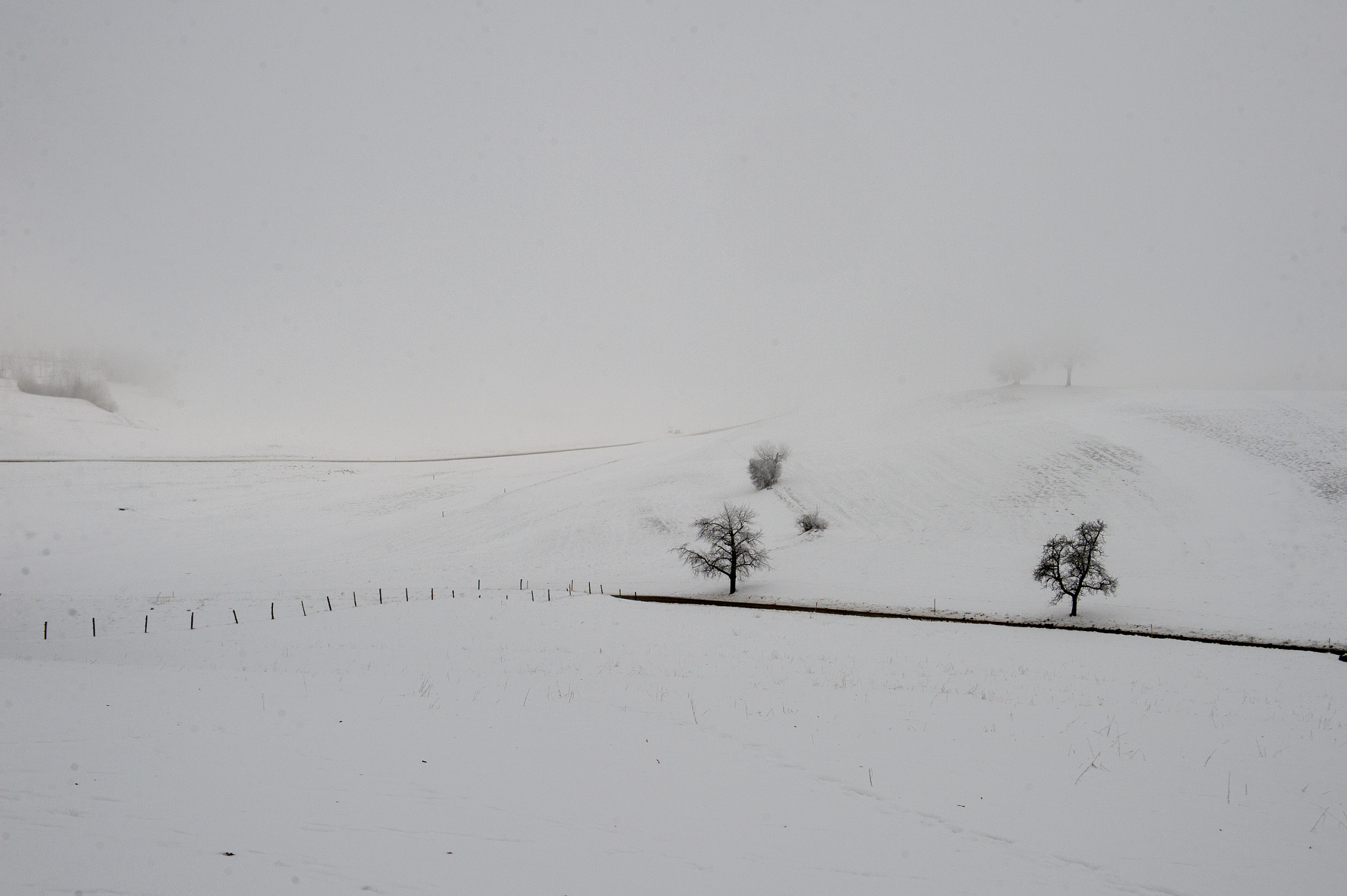 Nikon Df sample photo. Mont chesau photography