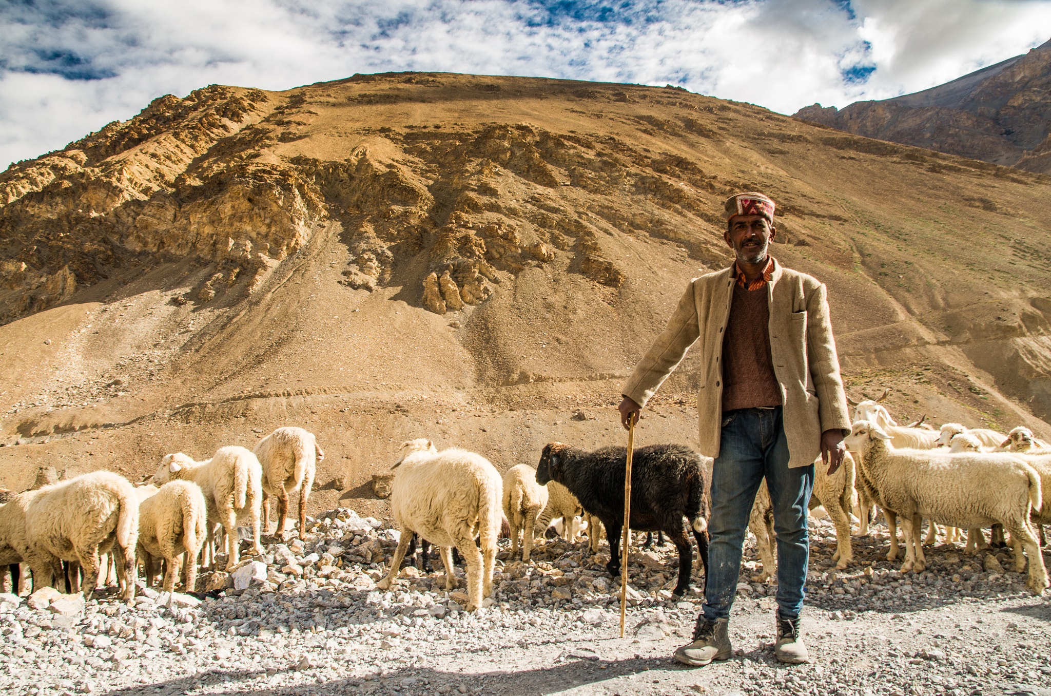 Pentax K-50 sample photo. Nomad and his sheep.jpg photography