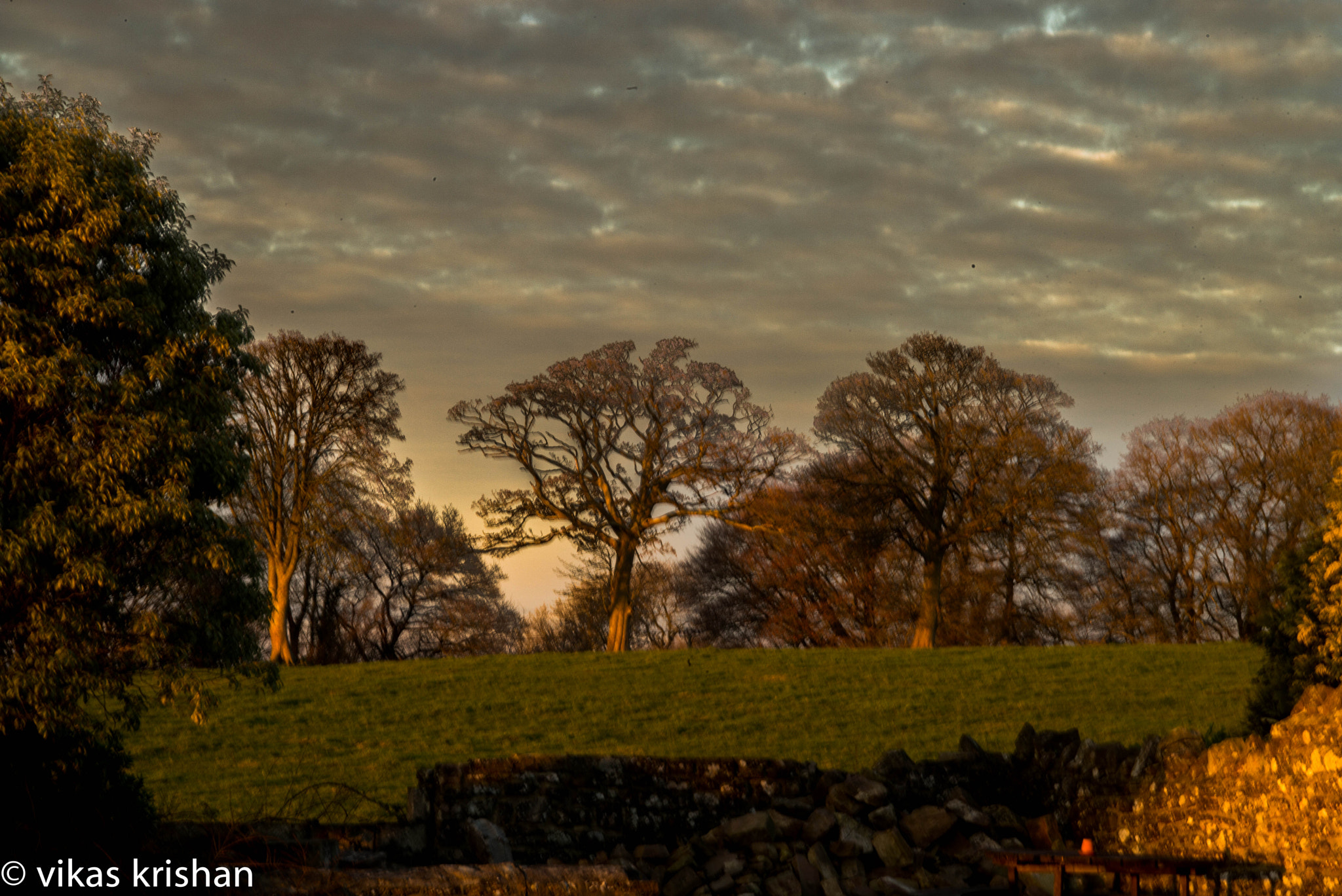 Leica APO-Summicron-M 90mm F2 ASPH sample photo. Stratton on the fosse, downside photography