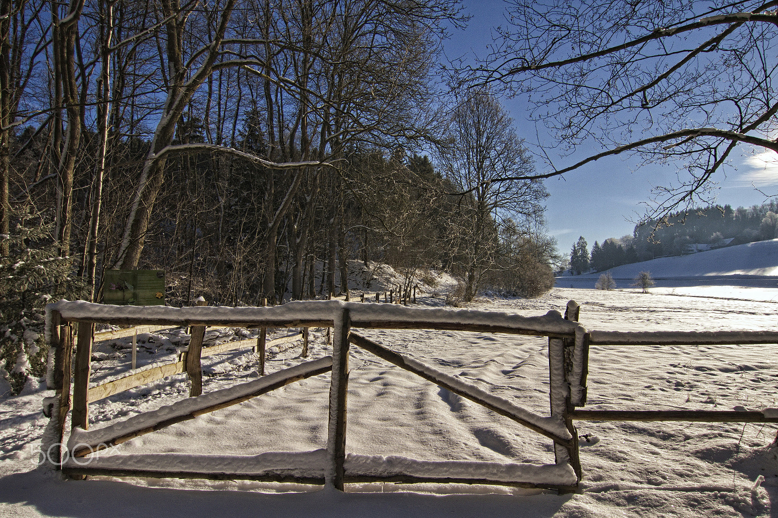 Tokina AT-X Pro 12-24mm F4 (IF) DX sample photo. Meadow gate photography