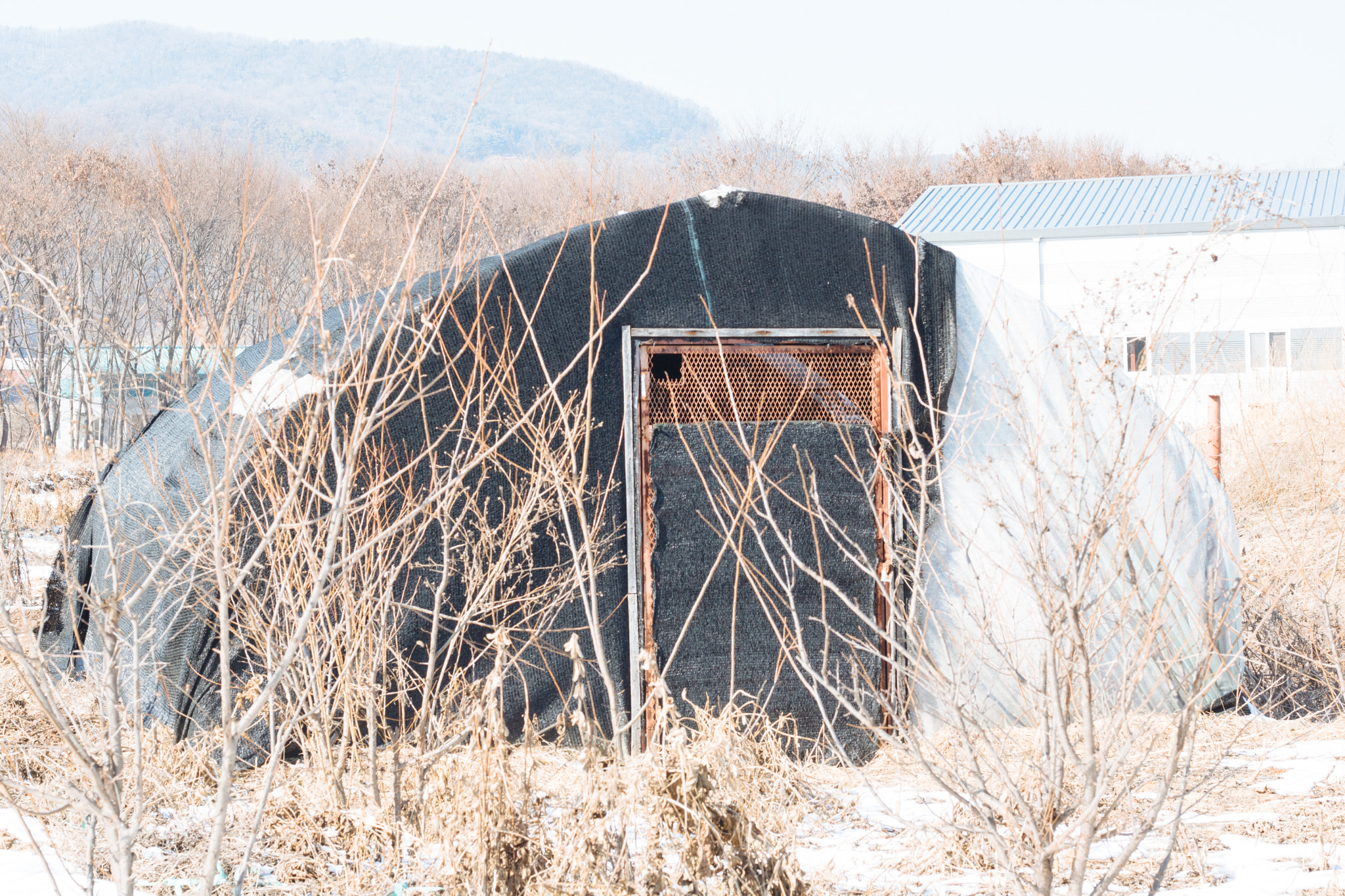 Canon EOS 760D (EOS Rebel T6s / EOS 8000D) sample photo. Korean countryside photography