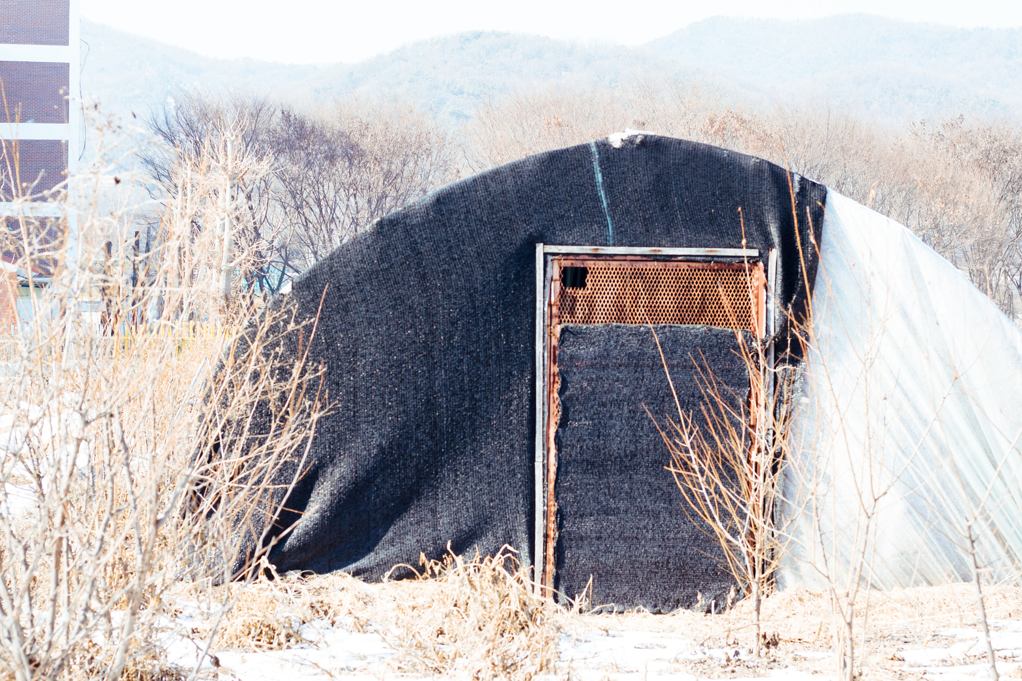Canon EOS 760D (EOS Rebel T6s / EOS 8000D) sample photo. Korean countryside photography