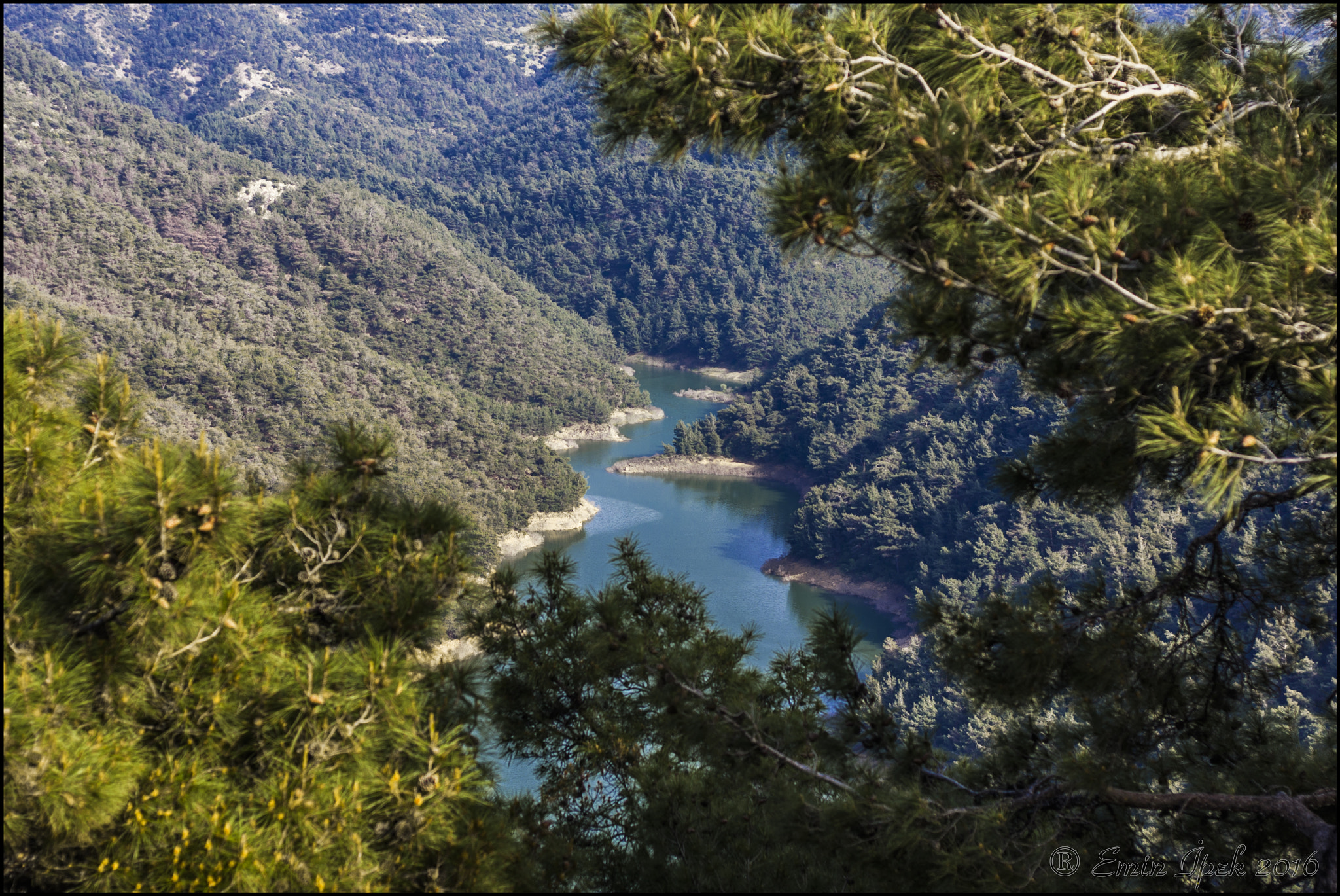 Canon EOS 40D + Canon EF 50mm F1.8 STM sample photo. Dam in balçova / izmir photography