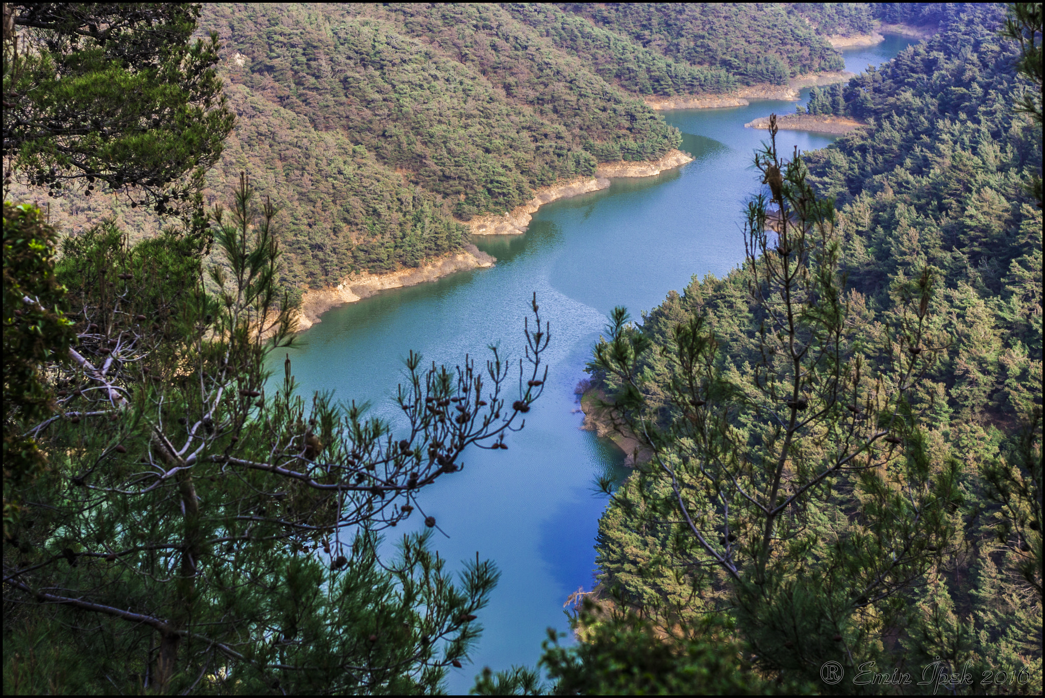 Canon EOS 40D + Canon EF 50mm F1.8 STM sample photo. Dam in balçova / izmir photography