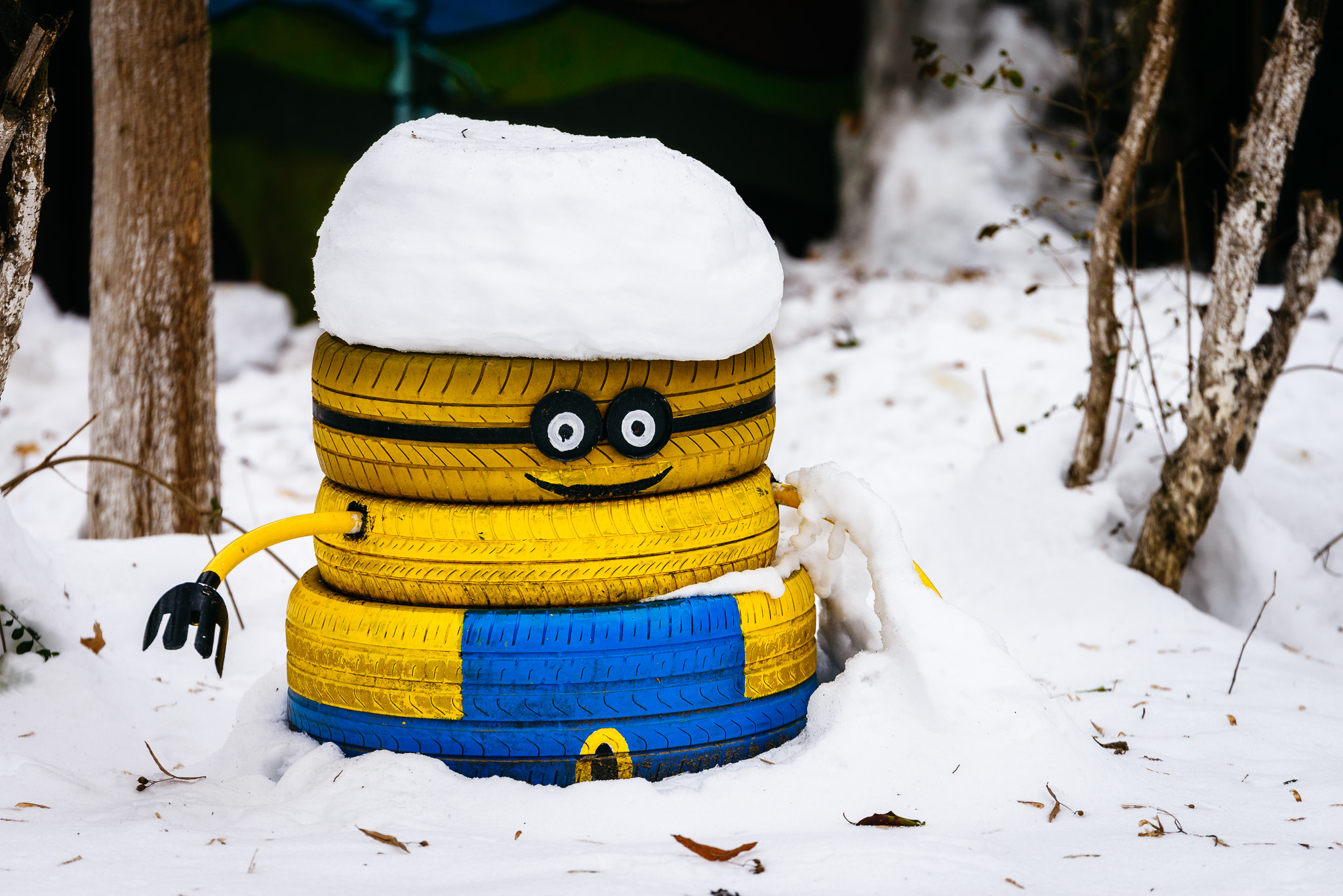 Tamron SP 70-200mm F2.8 Di VC USD sample photo. Snow hat photography