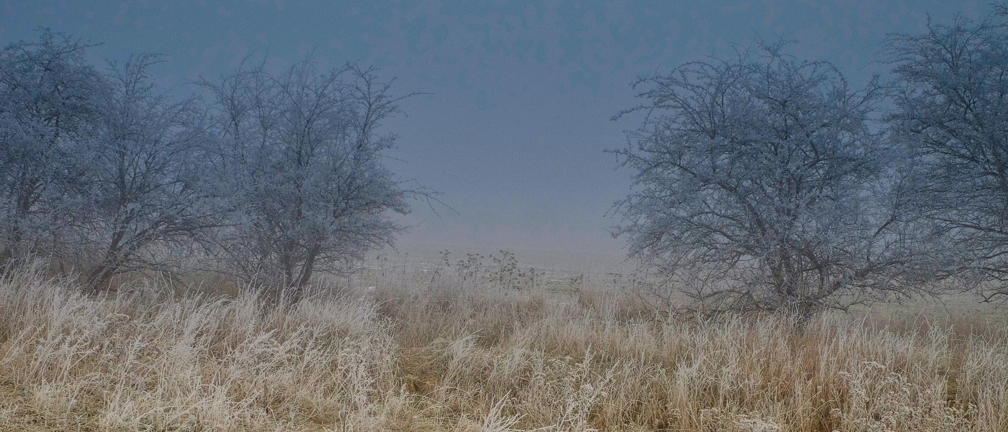 Fujifilm X-T1 + ZEISS Touit 50mm F2.8 sample photo. Winter with color photography