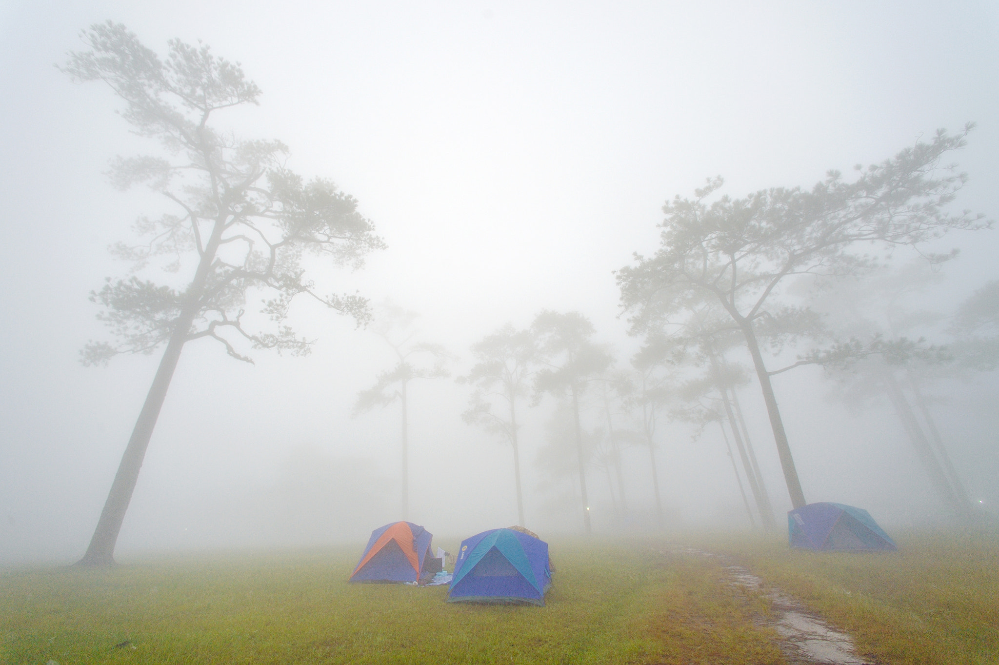 Nikon Df + Nikon AF Nikkor 14mm F2.8D ED sample photo. Camping photography