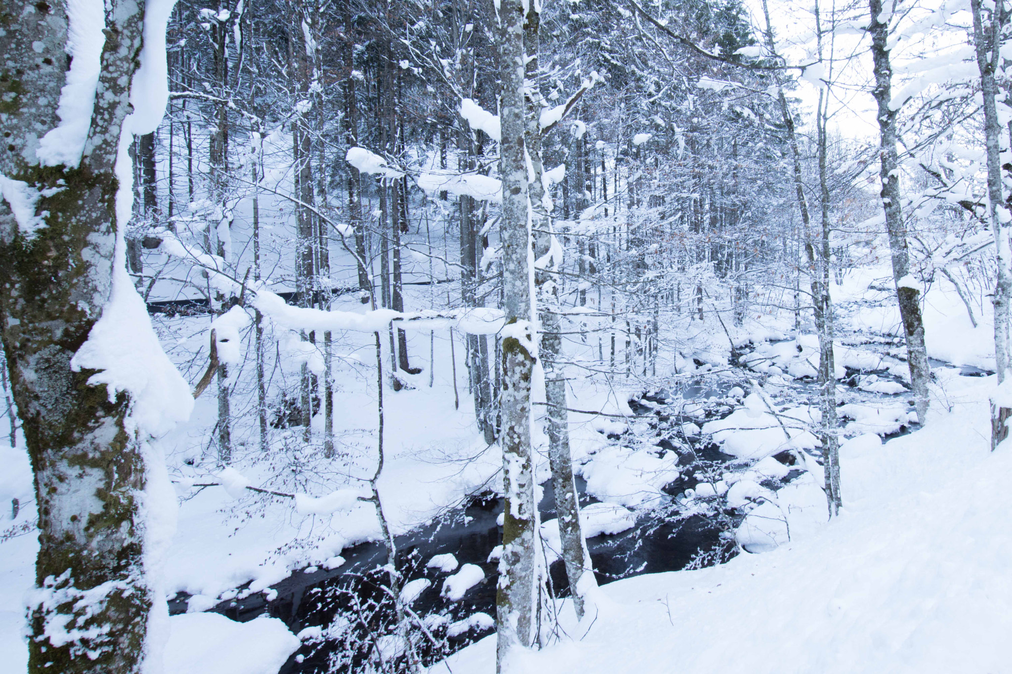 Sony ILCA-77M2 + Sigma 10-20mm F3.5 EX DC HSM sample photo. Winter impressions photography