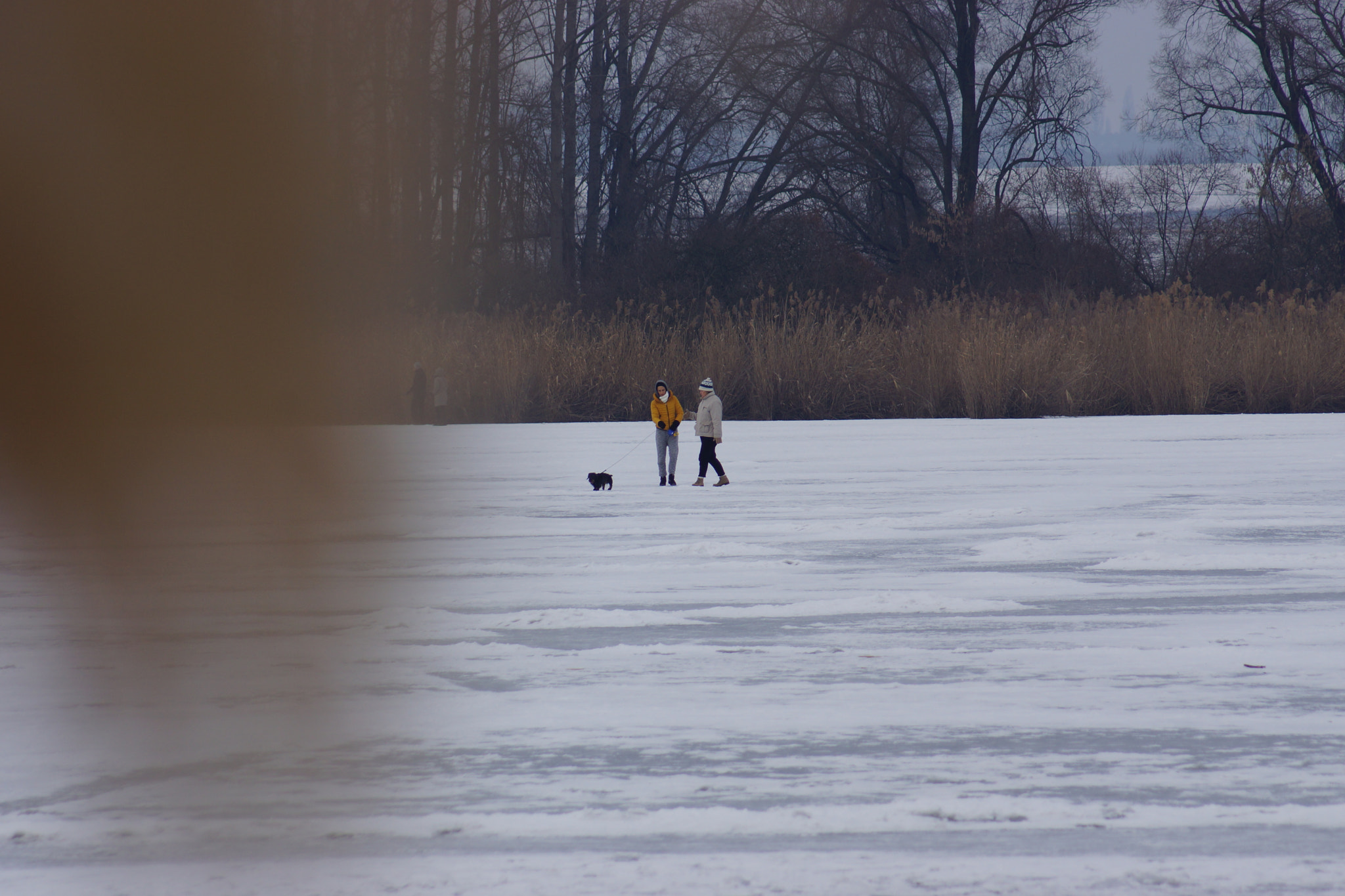 Sony SLT-A65 (SLT-A65V) sample photo. Walk on lake photography