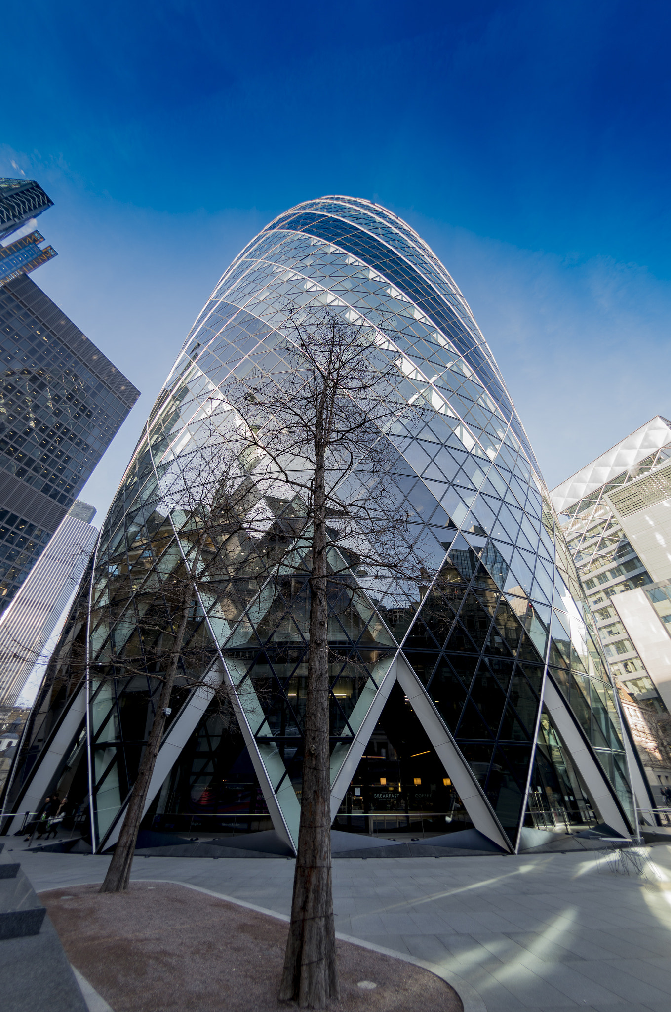 Nikon D810 + Nikon AF Fisheye-Nikkor 16mm F2.8D sample photo. St mary's axe photography