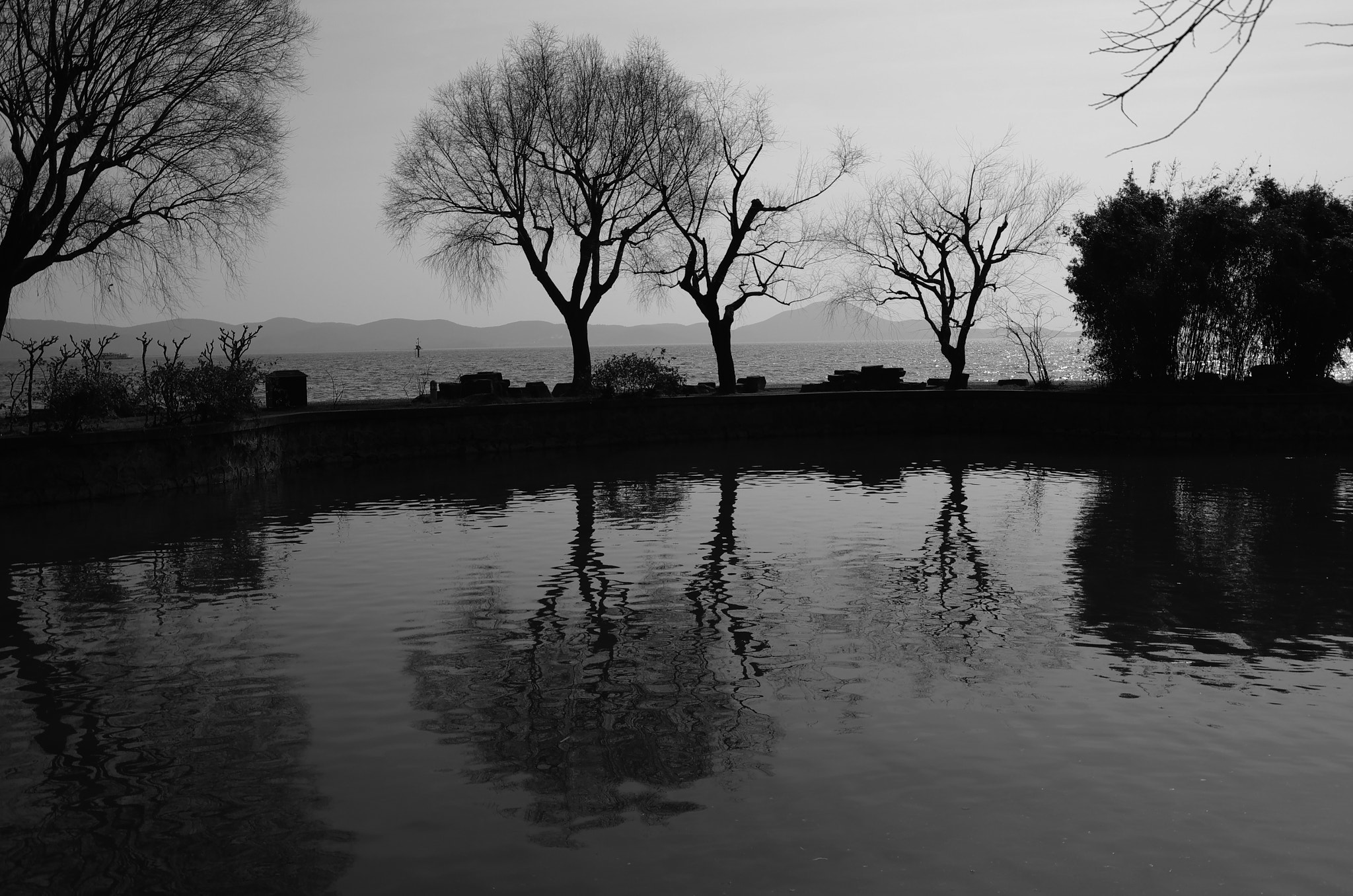 Pentax K-5 IIs sample photo