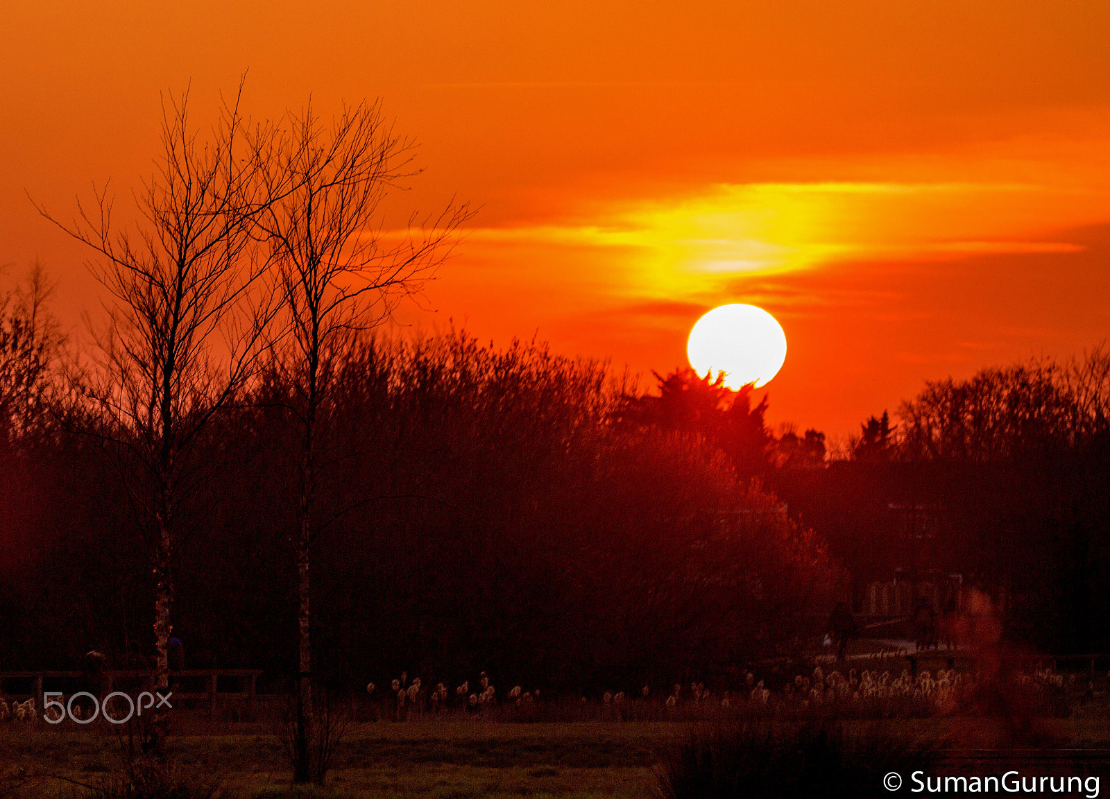 Canon EF 70-300mm F4-5.6L IS USM sample photo. Sunset photography