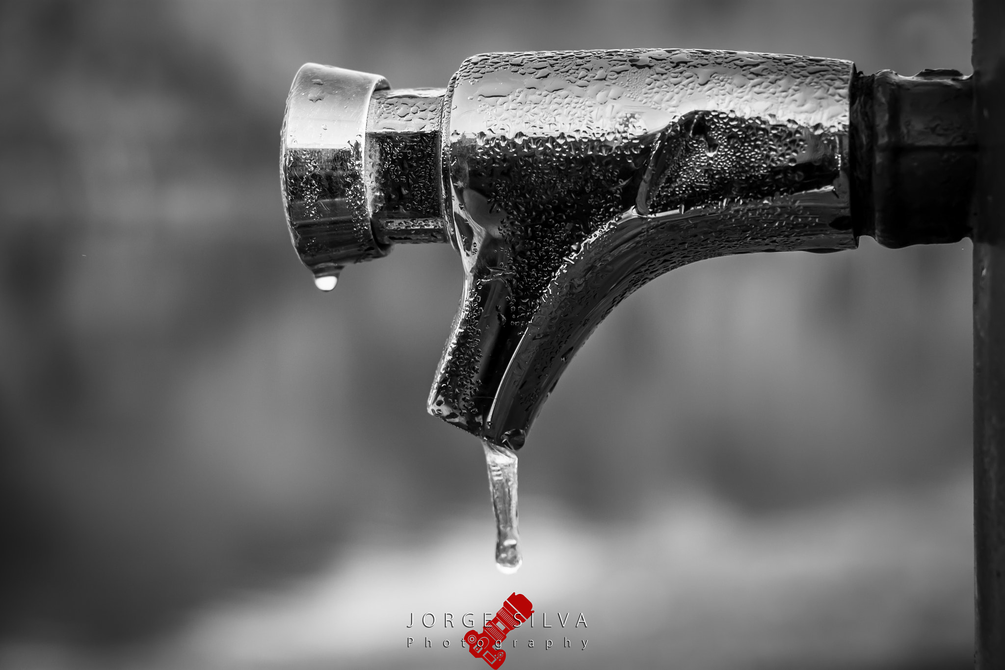 Canon EOS 1100D (EOS Rebel T3 / EOS Kiss X50) sample photo. Frozen drop photography