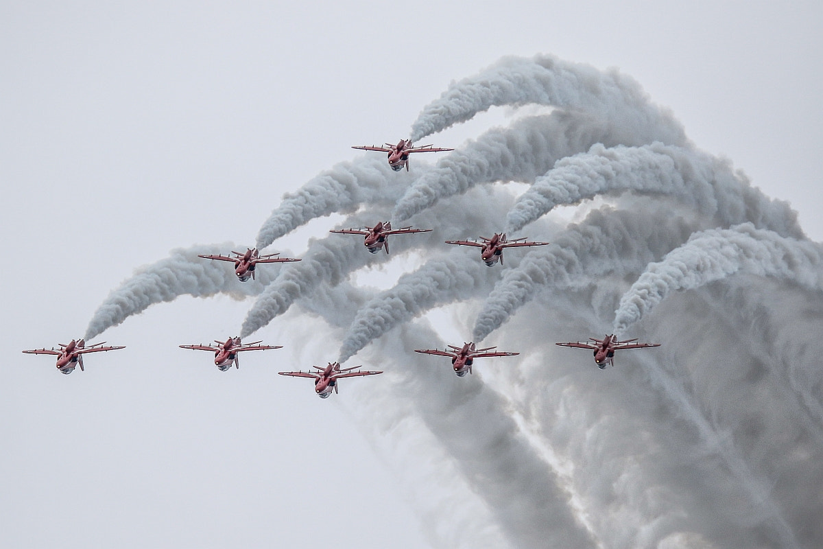 Sigma 150-600mm F5-6.3 DG OS HSM | S sample photo. Red arrows photography