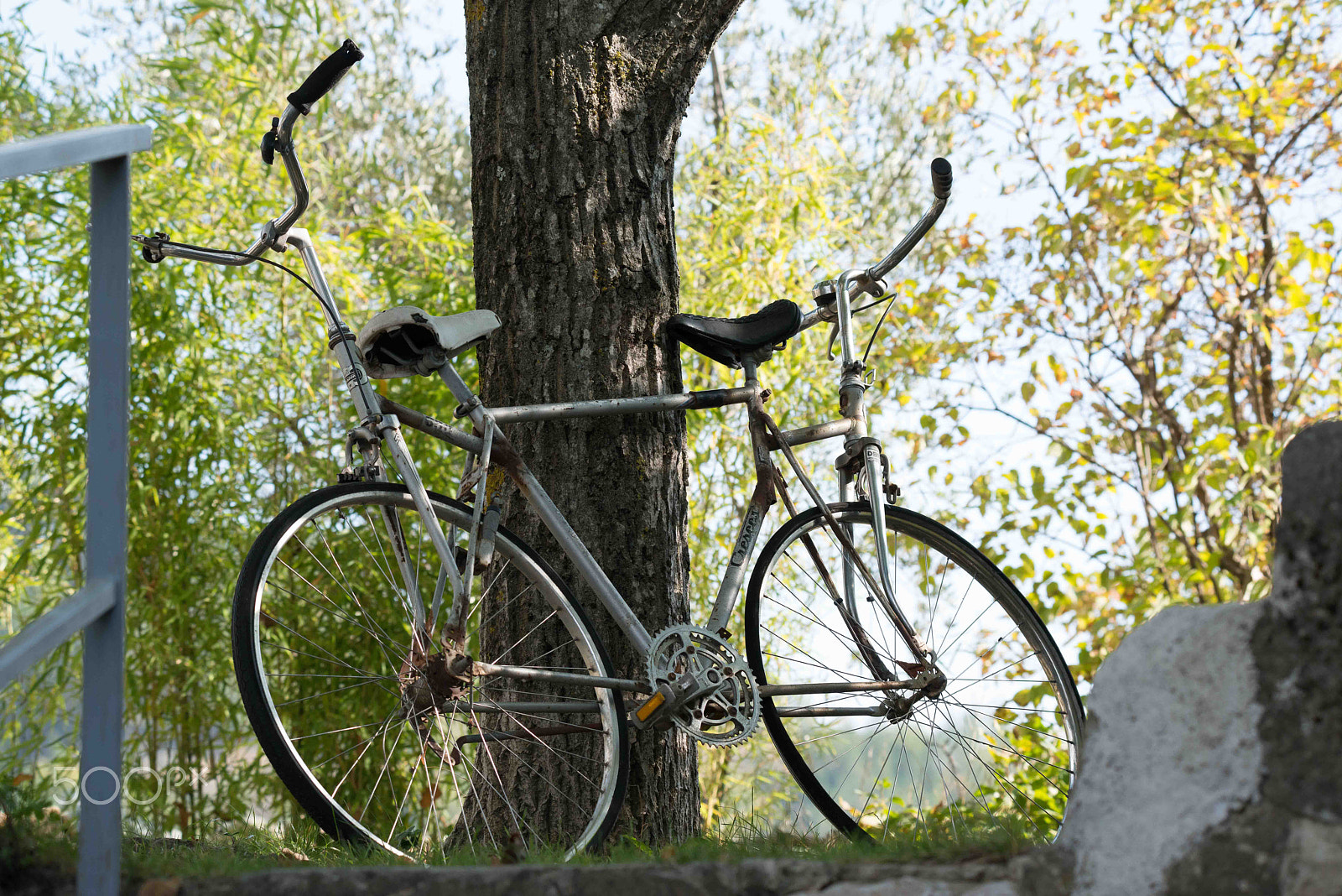 Nikon D800 sample photo. Confusing photography