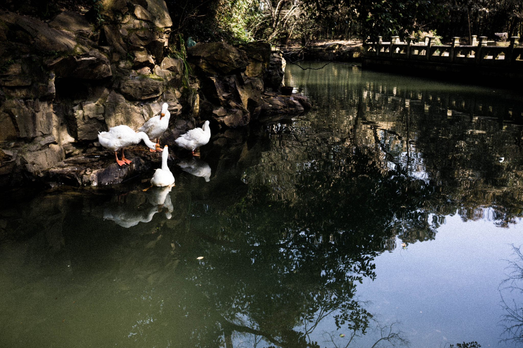 Sony Sonnar T* E 24mm F1.8 ZA sample photo. One kiss photography