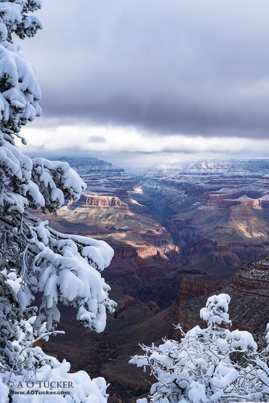 Sony DT 30mm F2.8 Macro SAM sample photo. Christmas portrait grand canyon photography