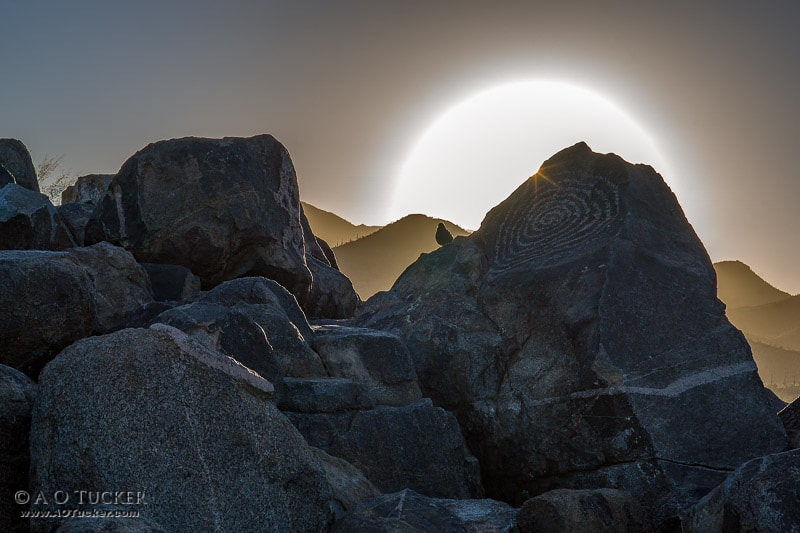 Sony ILCA-77M2 + Sony 50mm F1.4 sample photo. Bird on a rock art photography