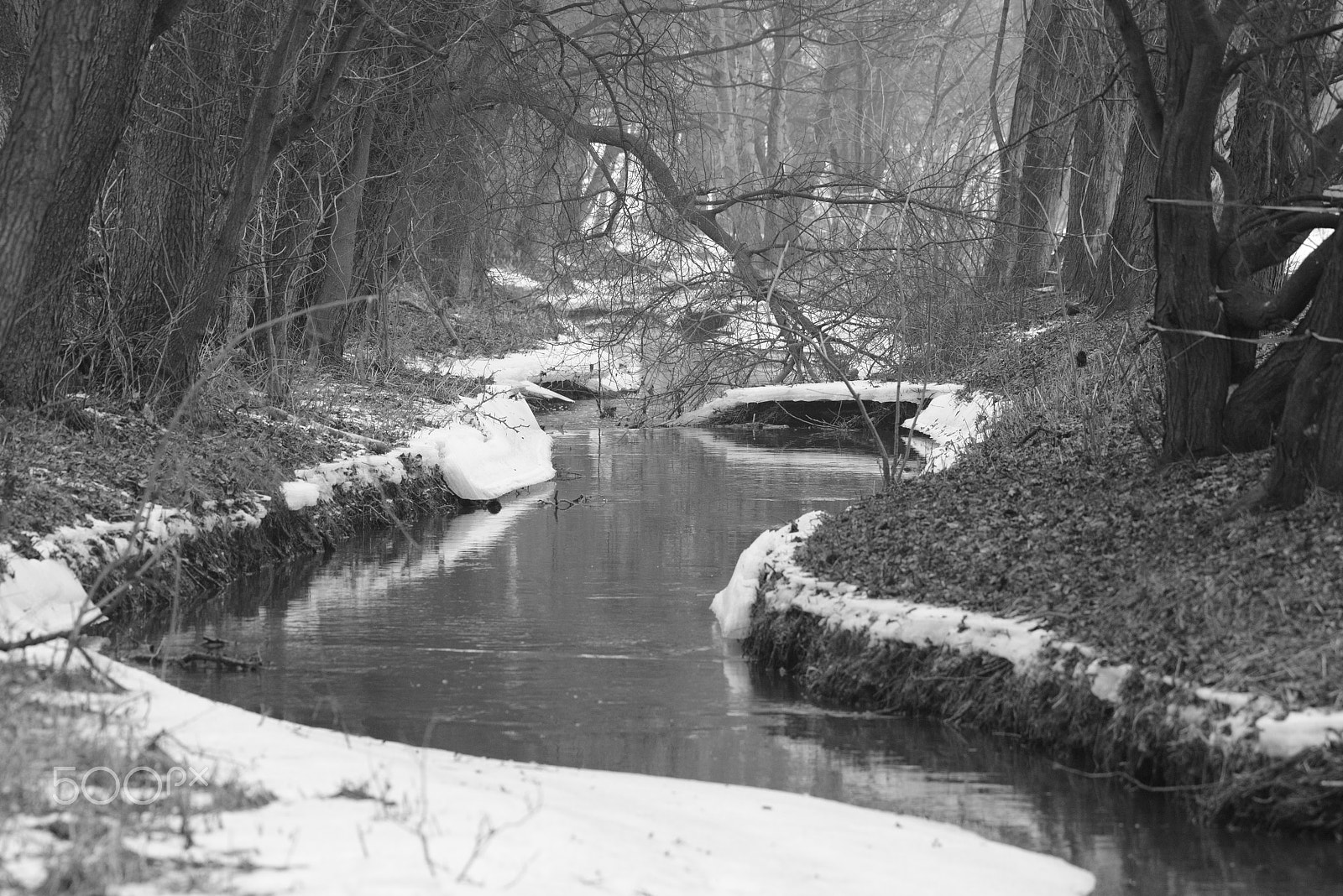 Nikon D800 + Nikon AF-S Nikkor 200-500mm F5.6E ED VR sample photo. Small river in the winter photography