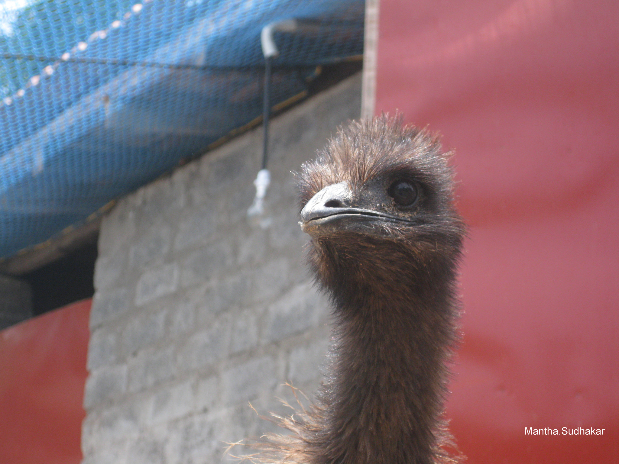 Canon PowerShot SD770 IS (Digital IXUS 85 IS / IXY Digital 25 IS) sample photo. Img photography