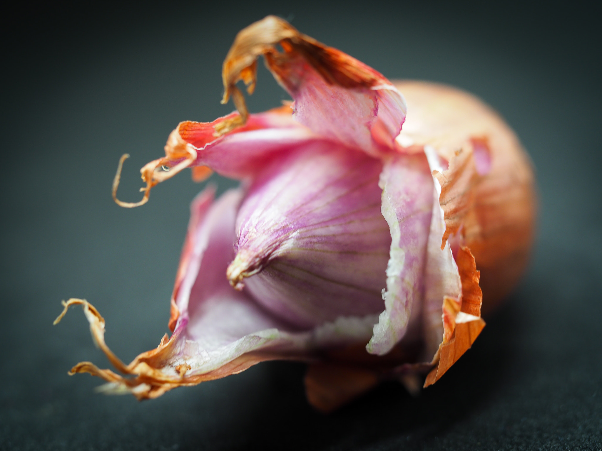 Olympus M.Zuiko Digital ED 60mm F2.8 Macro sample photo. Shallot !!! photography