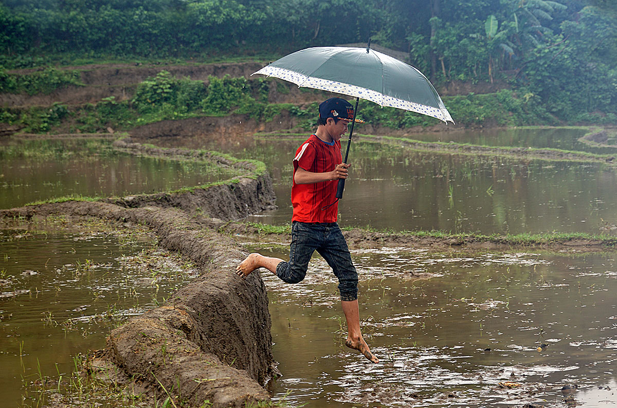 Sony a6000 + Sony E 18-200mm F3.5-6.3 OSS sample photo. Saro di bartolo, vietnam. a boy with umbrella running through the rice fields under the rain. photography