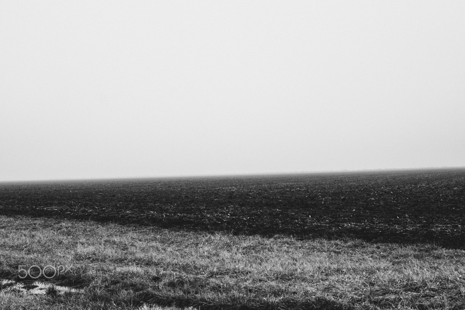 E 32mm F1.8 sample photo. Scarecrow's dream ii photography