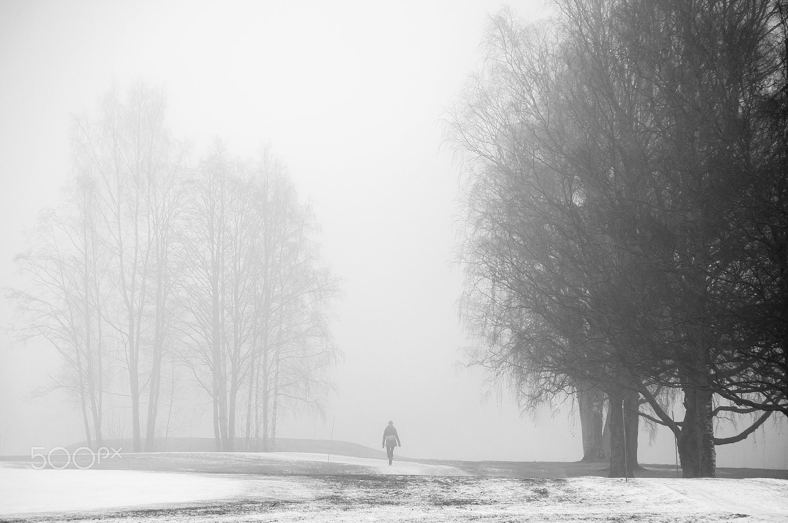 Olympus OM-D E-M10 sample photo. Into the fog  #2 photography