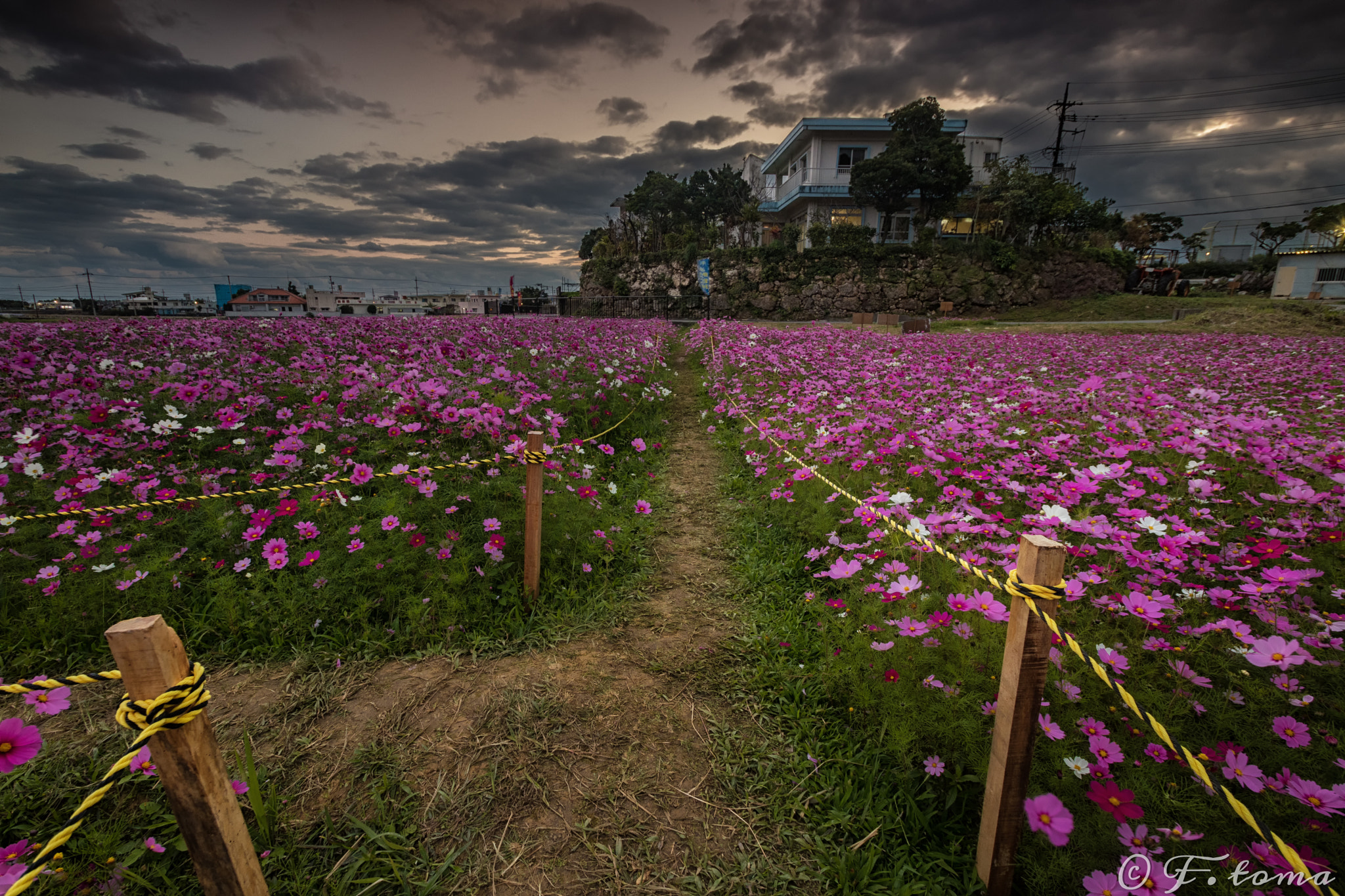 Sigma 10-20mm F3.5 EX DC HSM sample photo. To the night photography