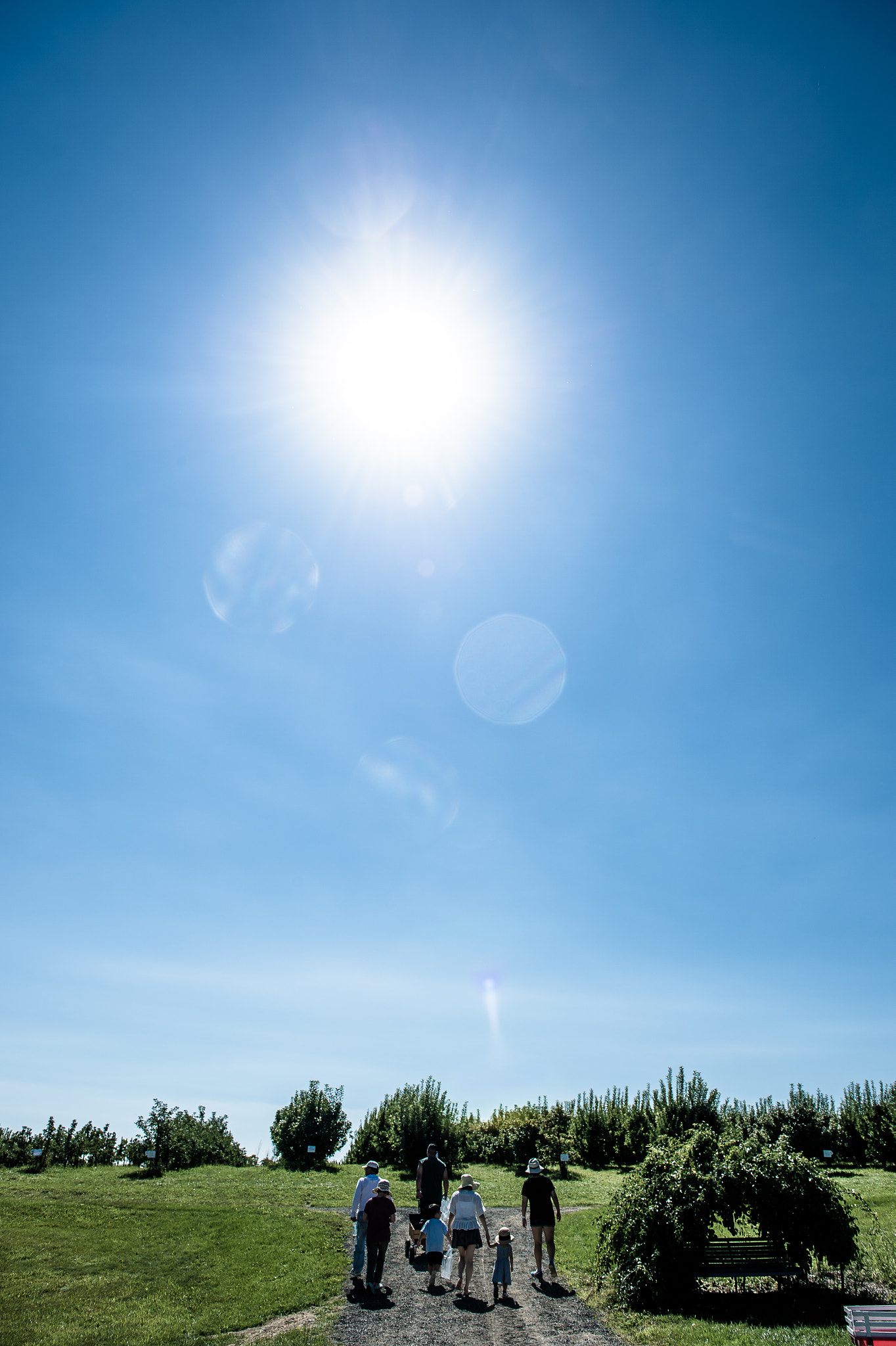 Nikon Df sample photo. Unity photography