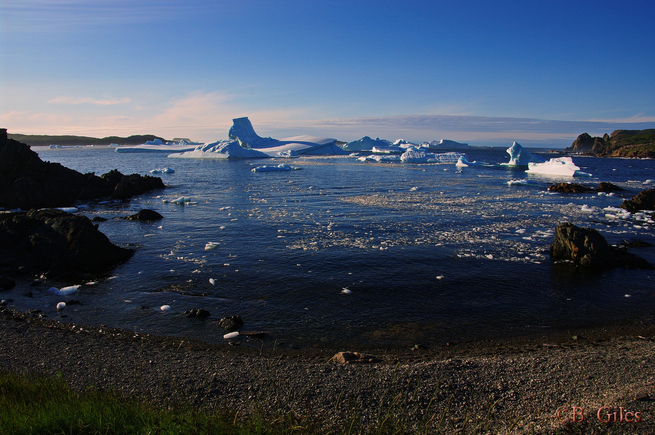 Pentax K20D sample photo. Iceberg alley twillingate photography