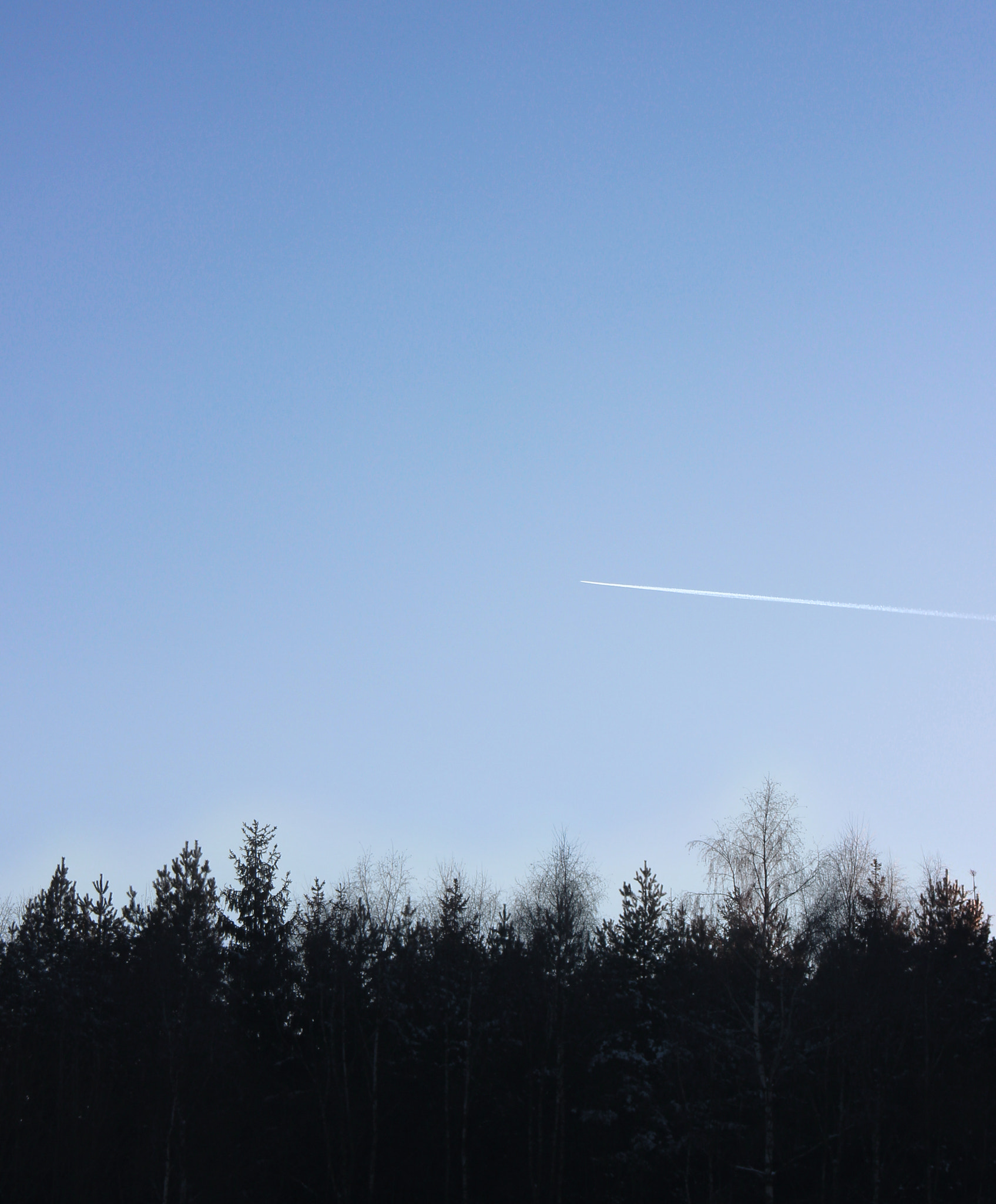 Canon EF 28-80mm f/3.5-5.6 USM sample photo. Sky. trees. photography
