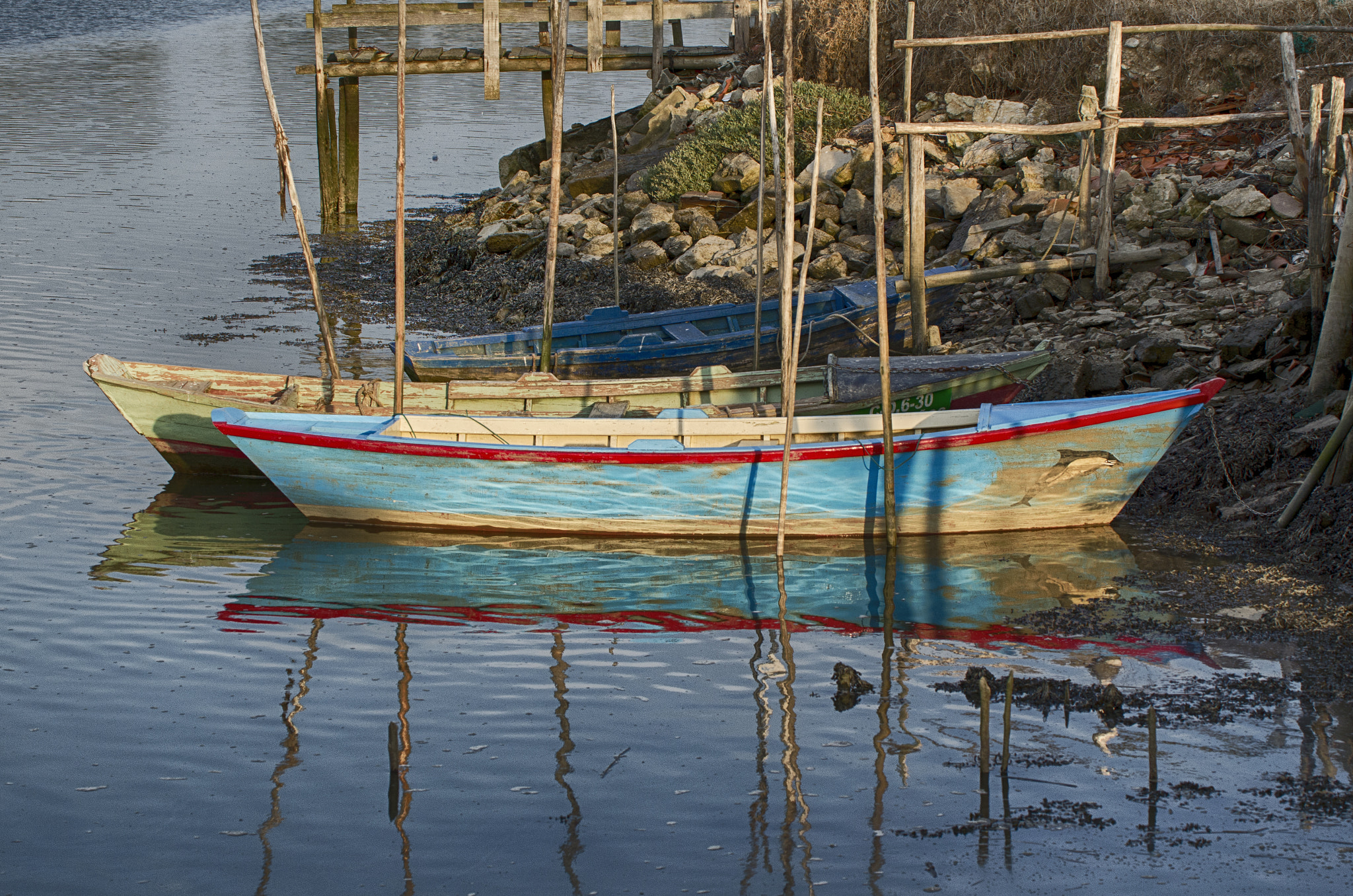 Sigma 50-500mm F4.5-6.3 DG OS HSM sample photo. Salinas photography