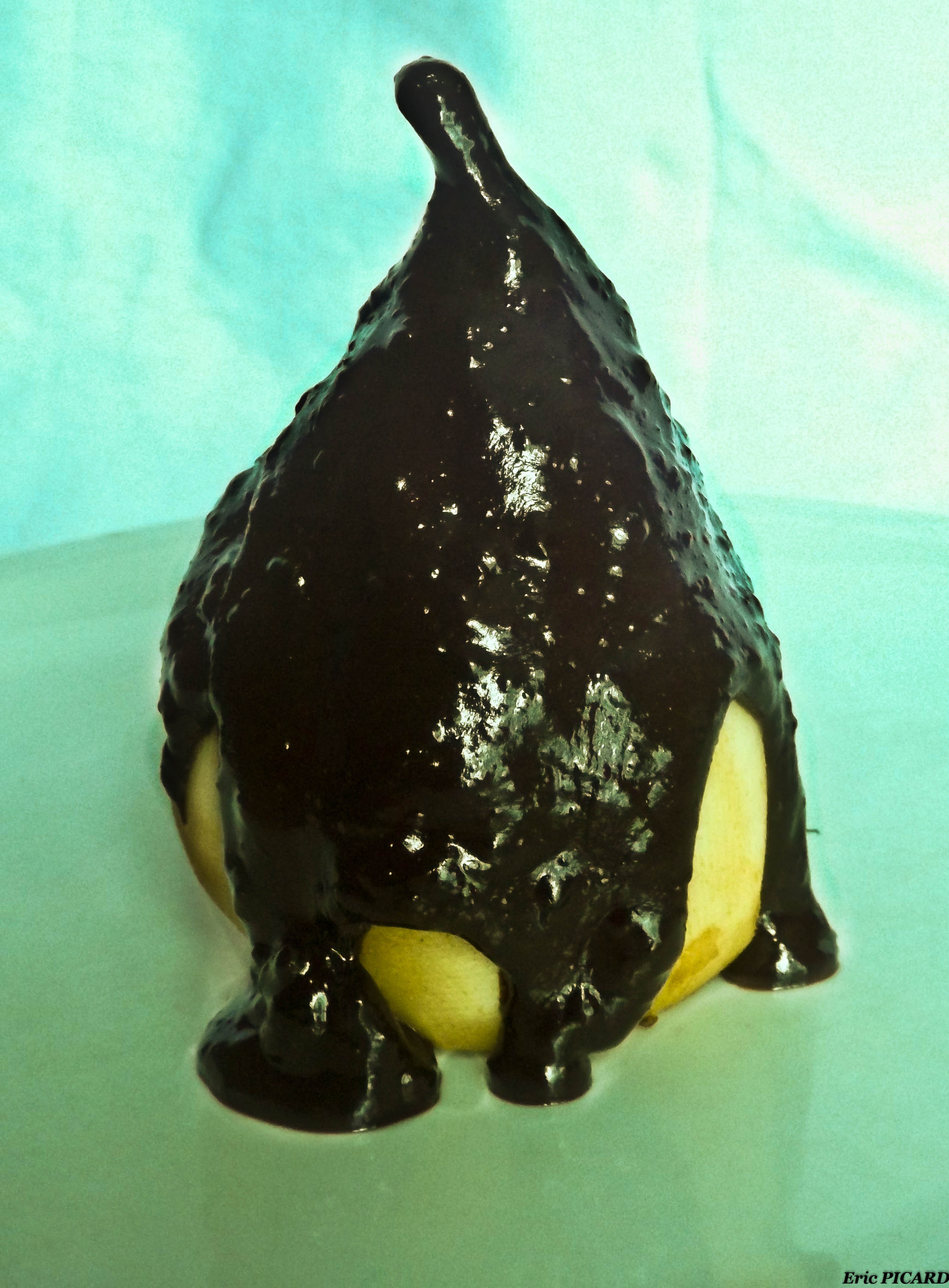 Fujifilm FinePix S4600 sample photo. Poire chocolat photography