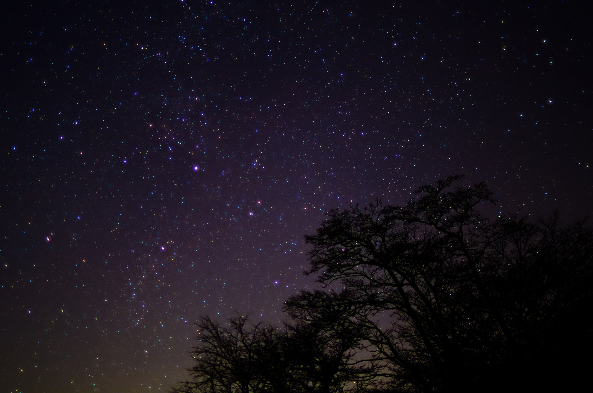 Pentax smc FA 31mm F1.8 AL Limited sample photo. Deneb photography