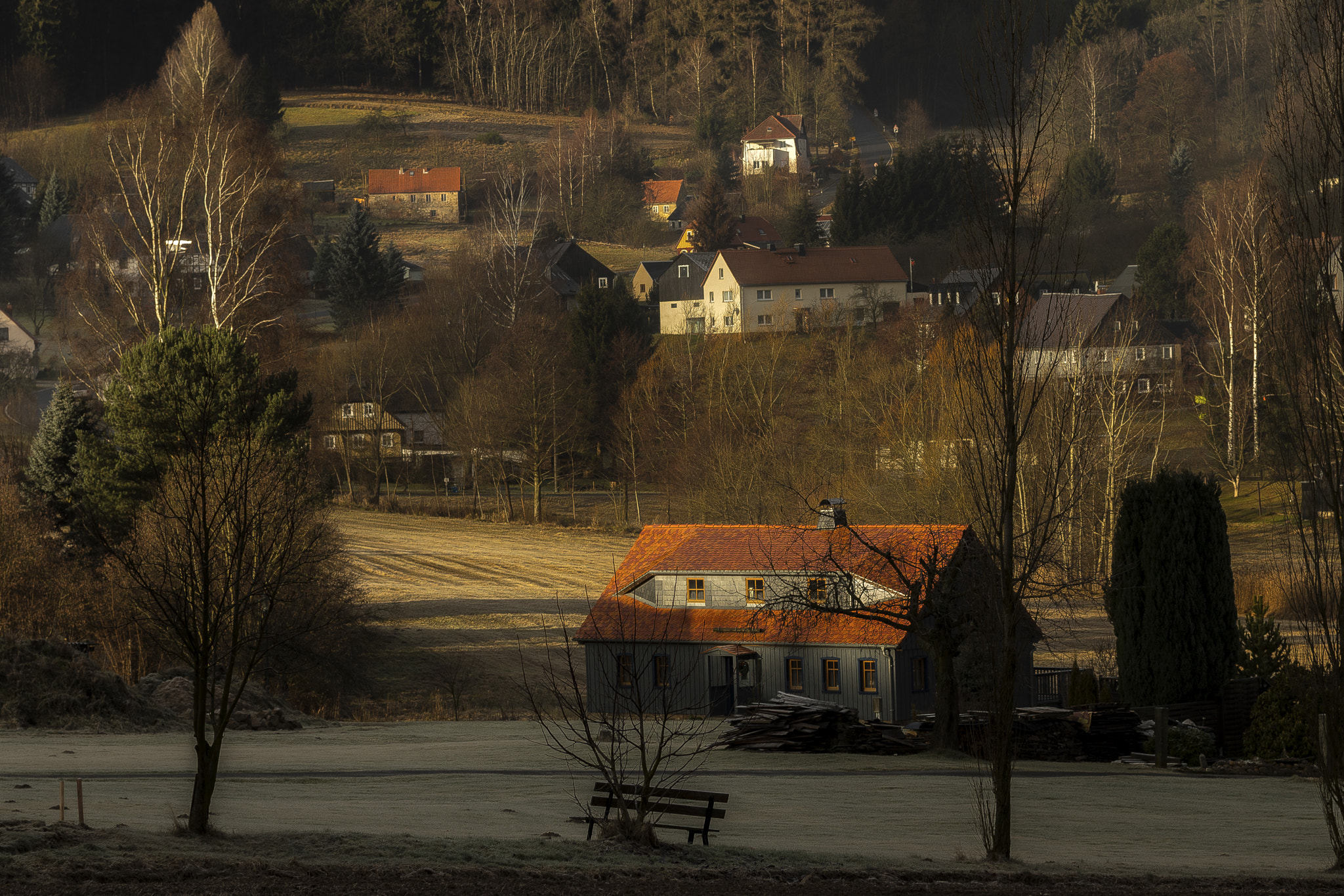 Canon EOS 80D sample photo. Cold morning photography