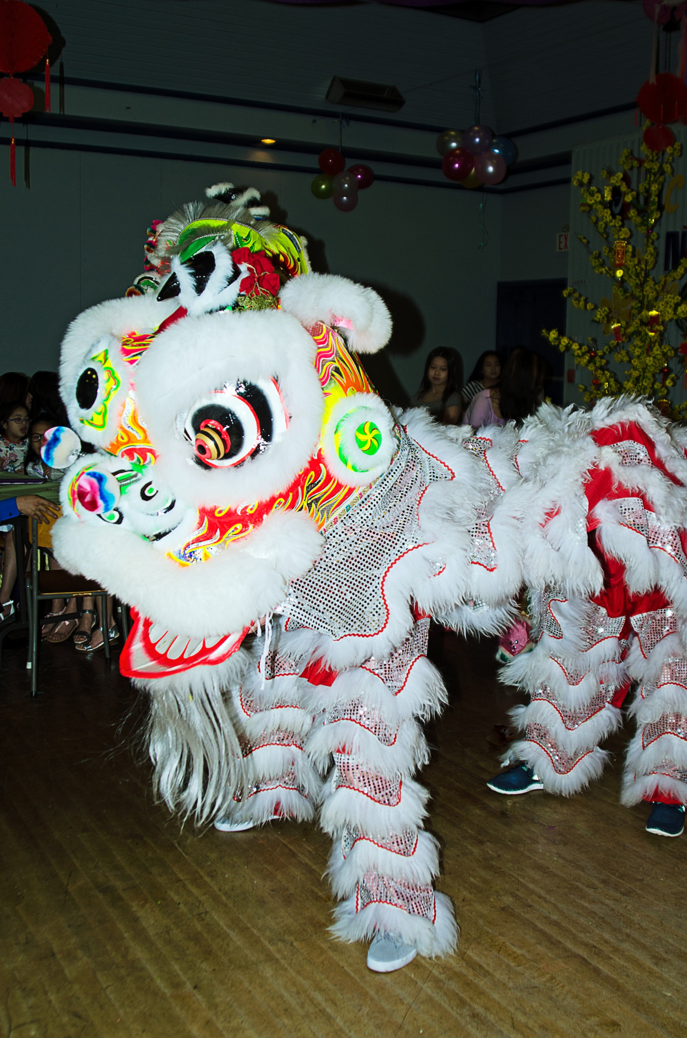 Nikon AF Nikkor 24-85mm F2.8-4D IF sample photo. Vietnamese new year 2017 photography