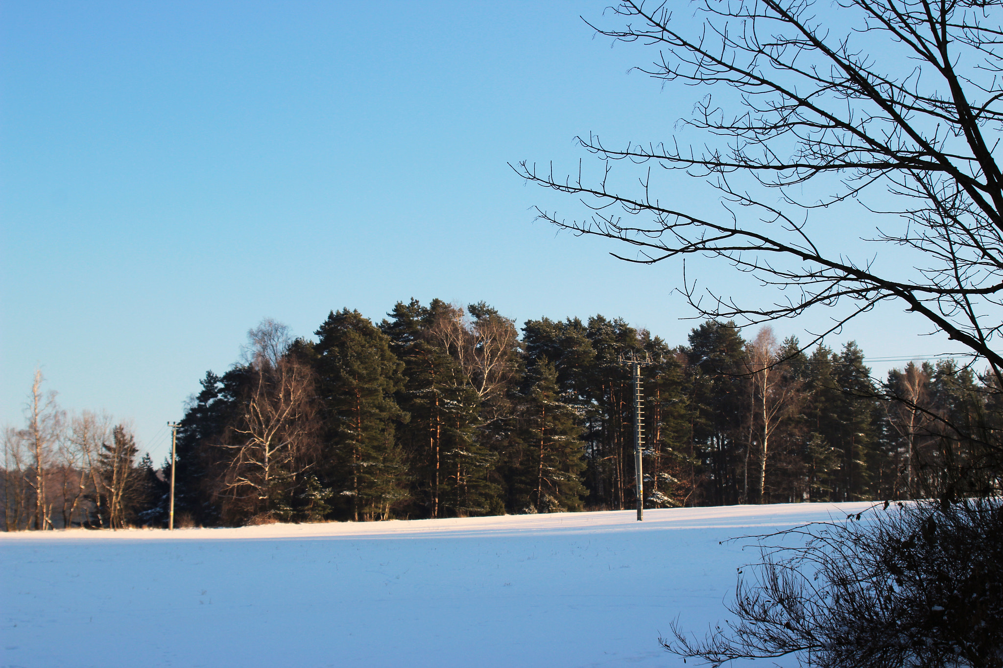 Canon EF 28-80mm f/3.5-5.6 USM sample photo. Forest. view photography