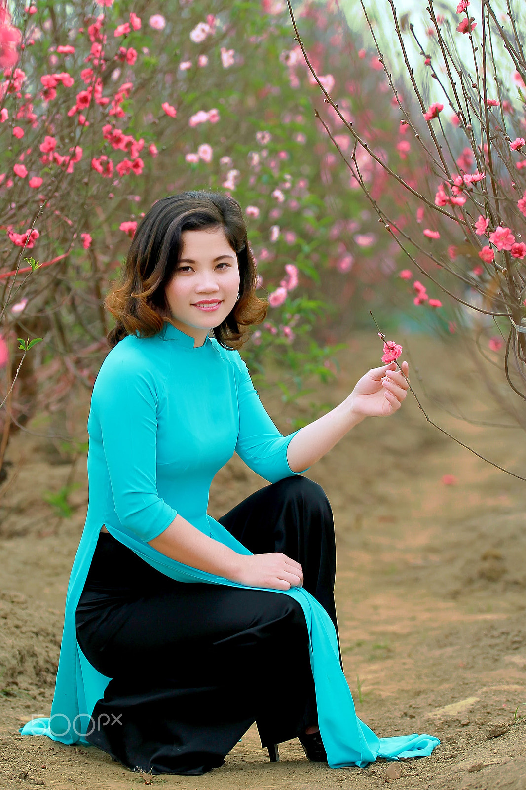 Sigma 50-100mm F1.8 DC HSM Art sample photo. Spring is coming photography