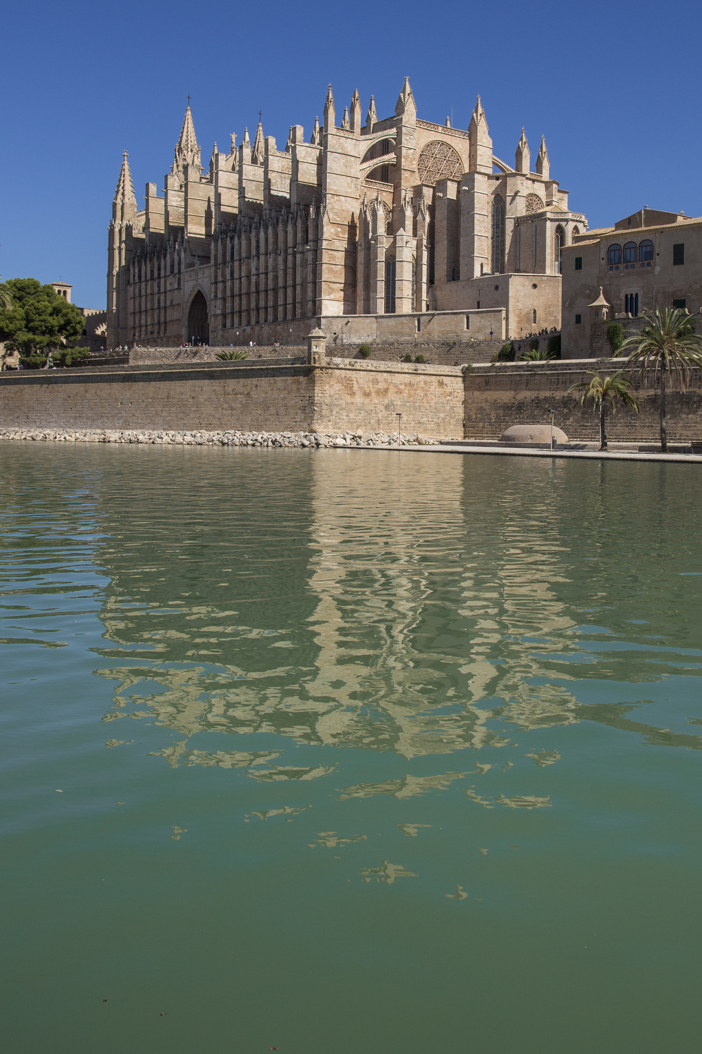 Canon EOS 650D (EOS Rebel T4i / EOS Kiss X6i) sample photo. Palma cathedral photography