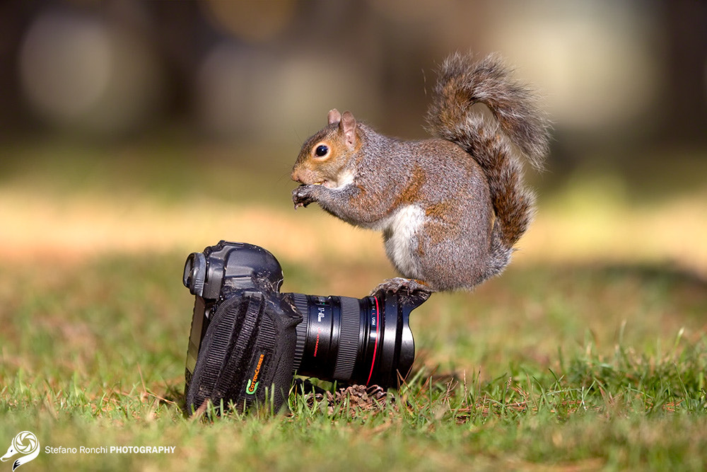 Canon EF 300mm F2.8L IS USM sample photo. And now, how can you take a photo of me? photography